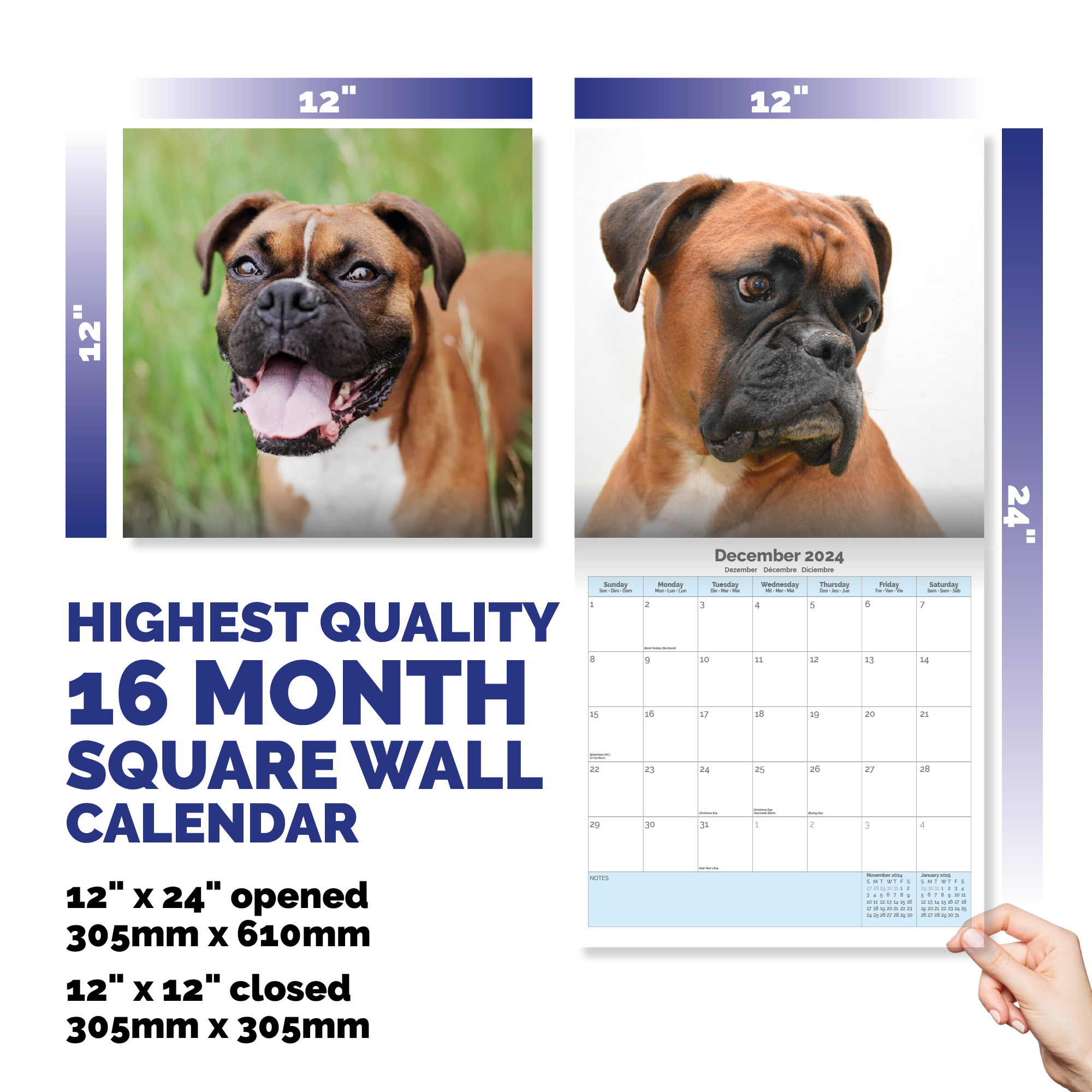 Boxer Calendar 2024
