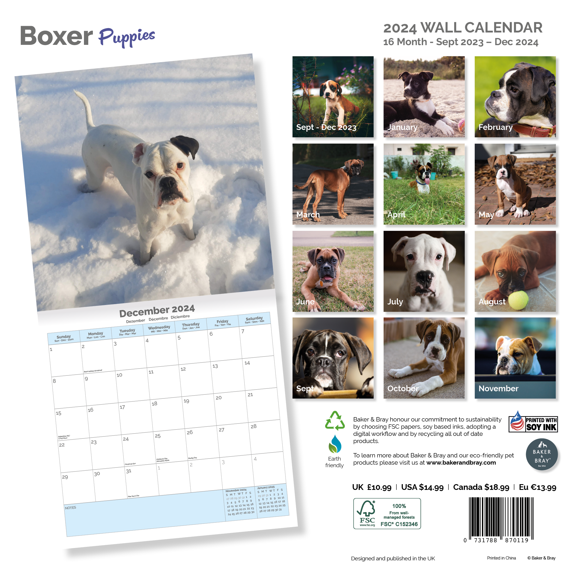Boxer puppies Calendar 2024