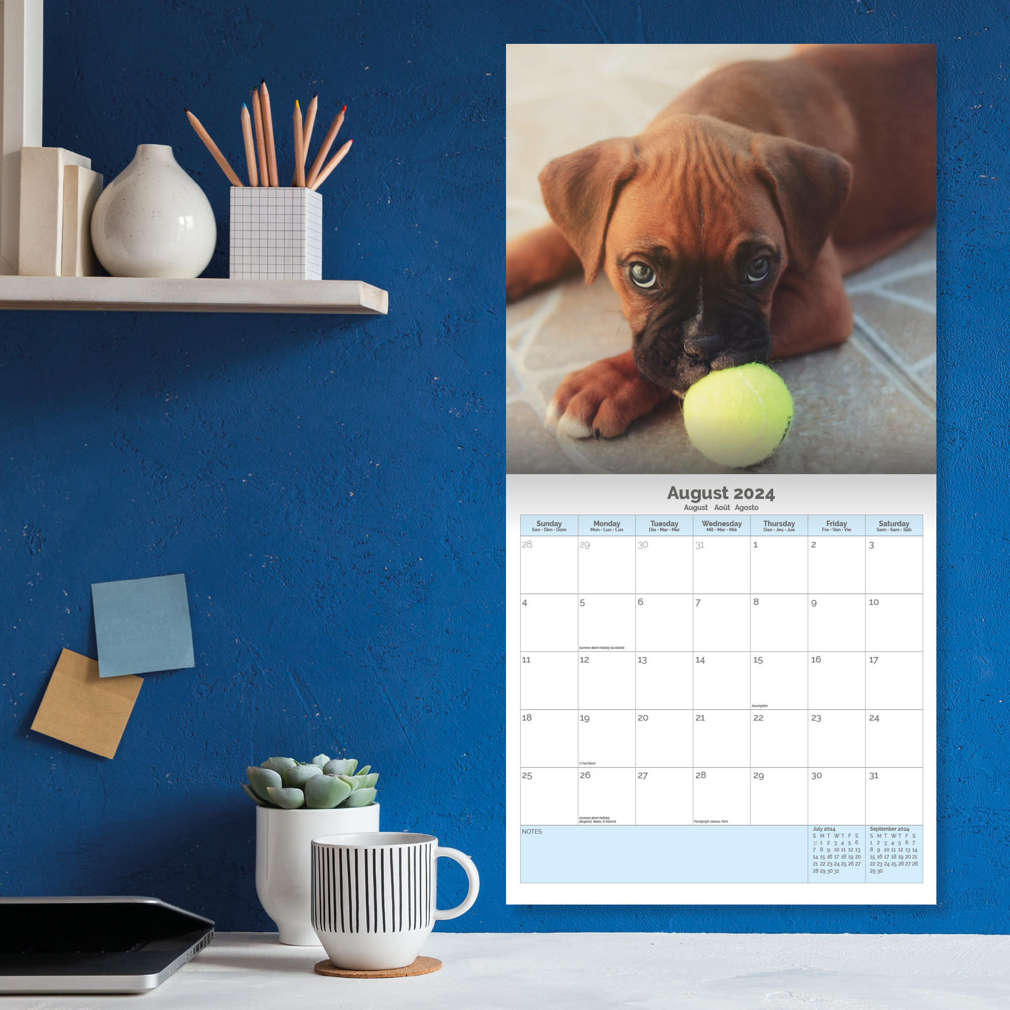 Boxer puppies Calendar 2024