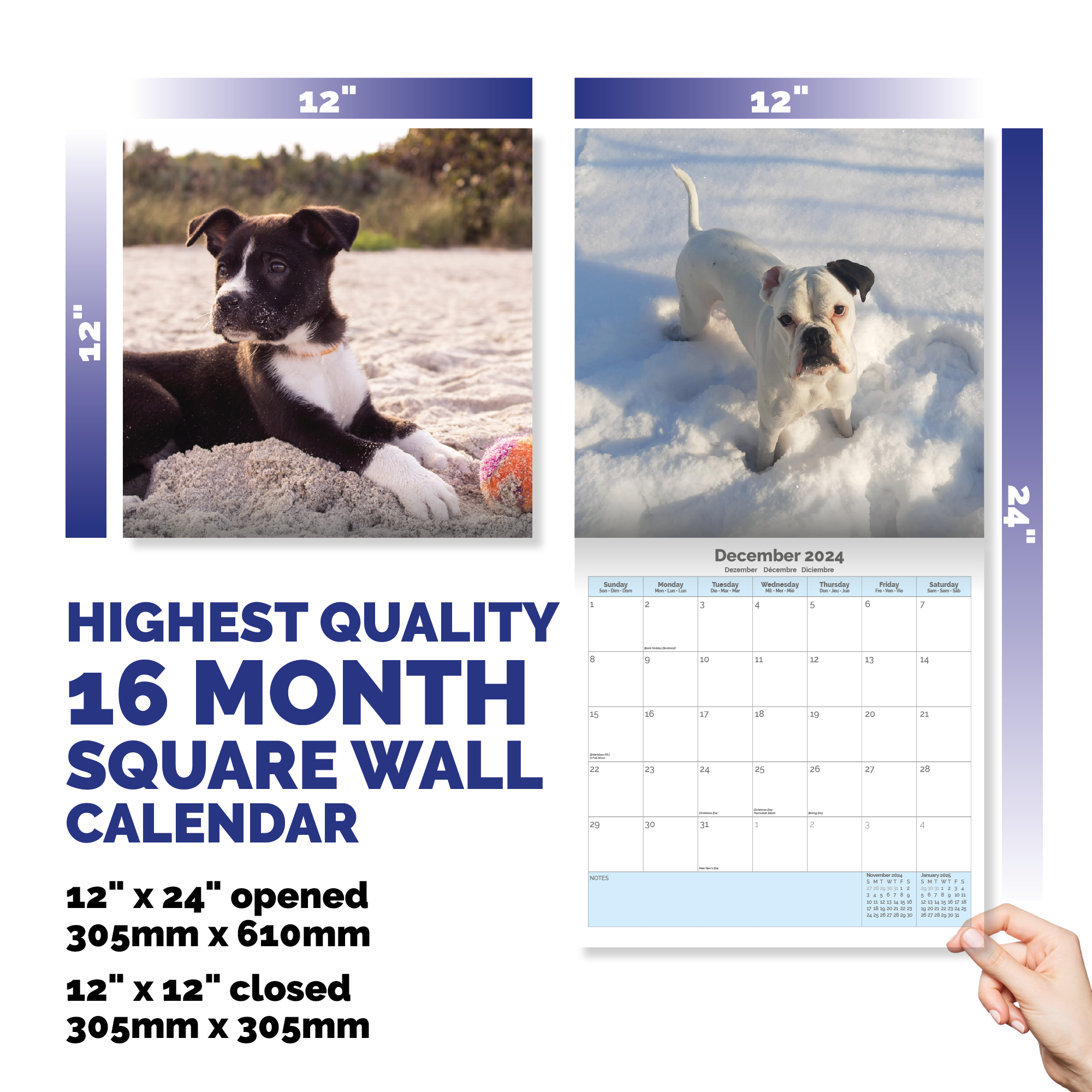 Boxer puppies Calendar 2024