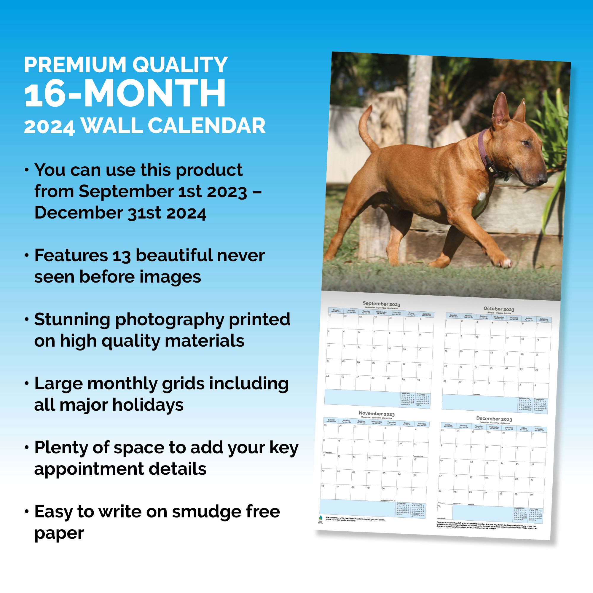 Bull Terrier Calendar 2024
