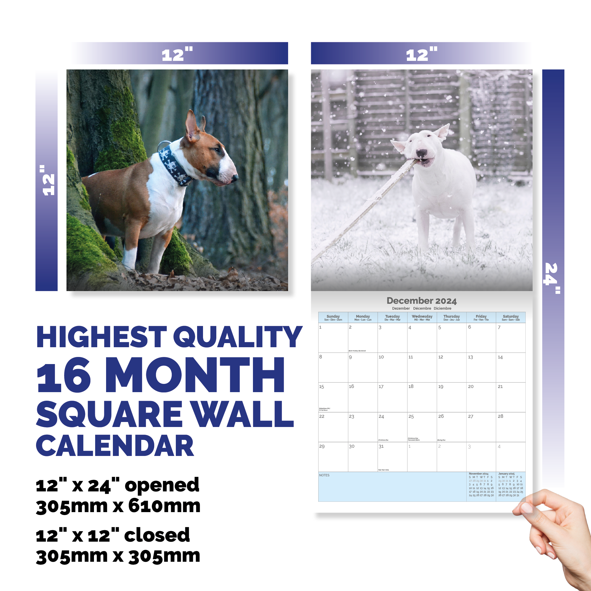 Bull Terrier Calendar 2024