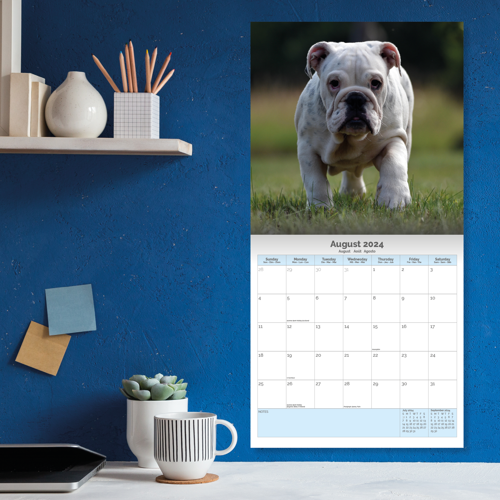 Bulldog Calendar 2024