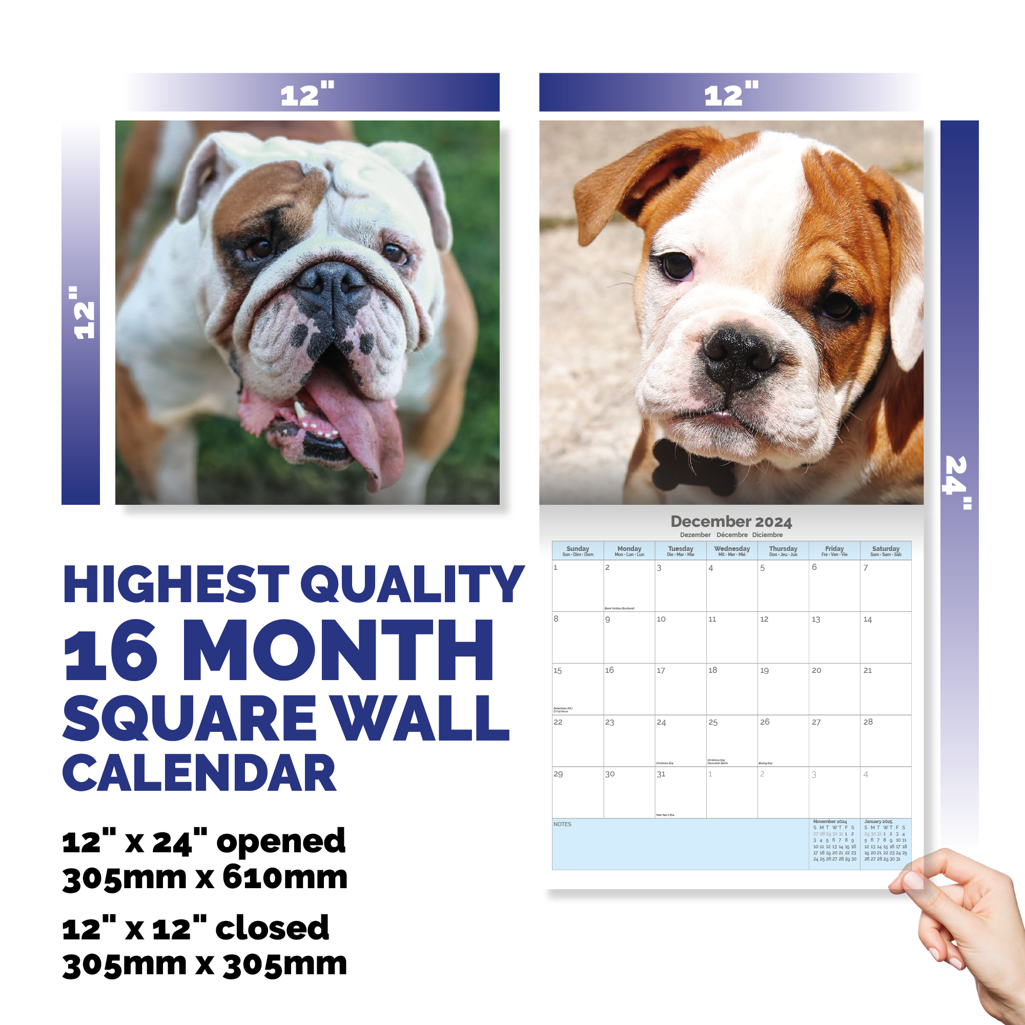 Bulldog Calendar 2024