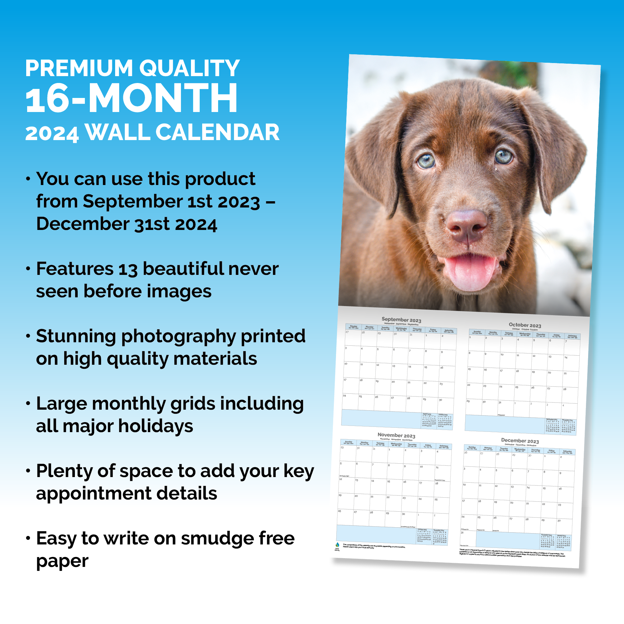 Chocolate Labrador Retriever Calendar 2024