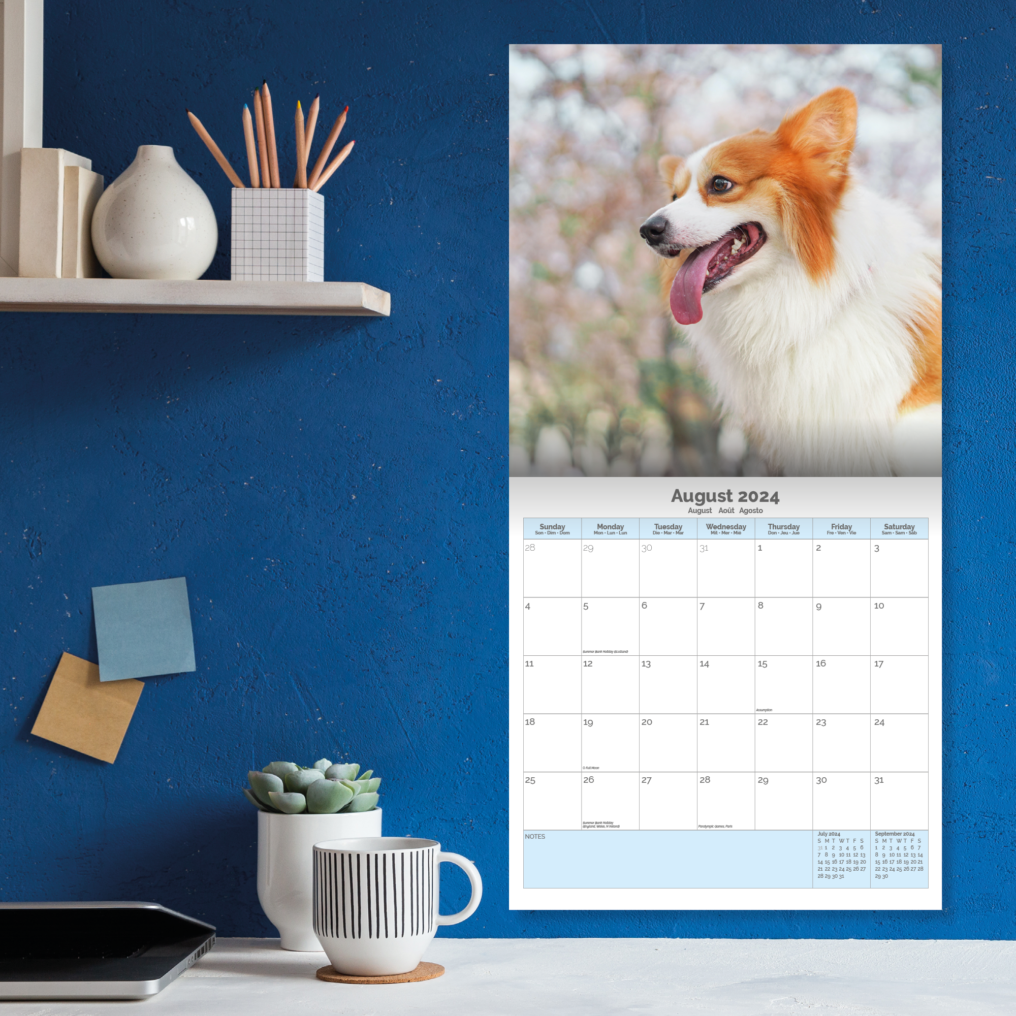 Corgi Calendar 2024