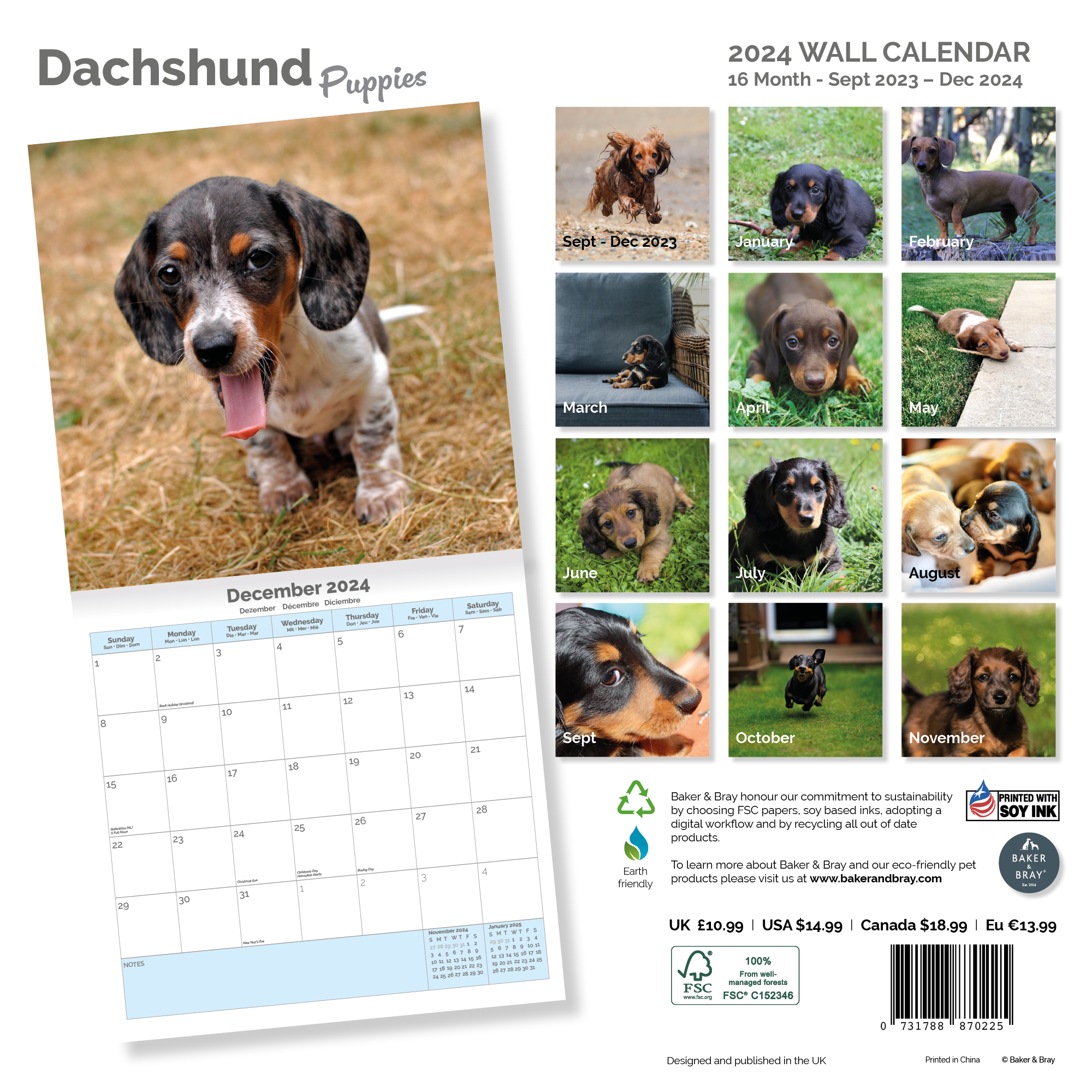 Dachshund Puppies Calendar 2024
