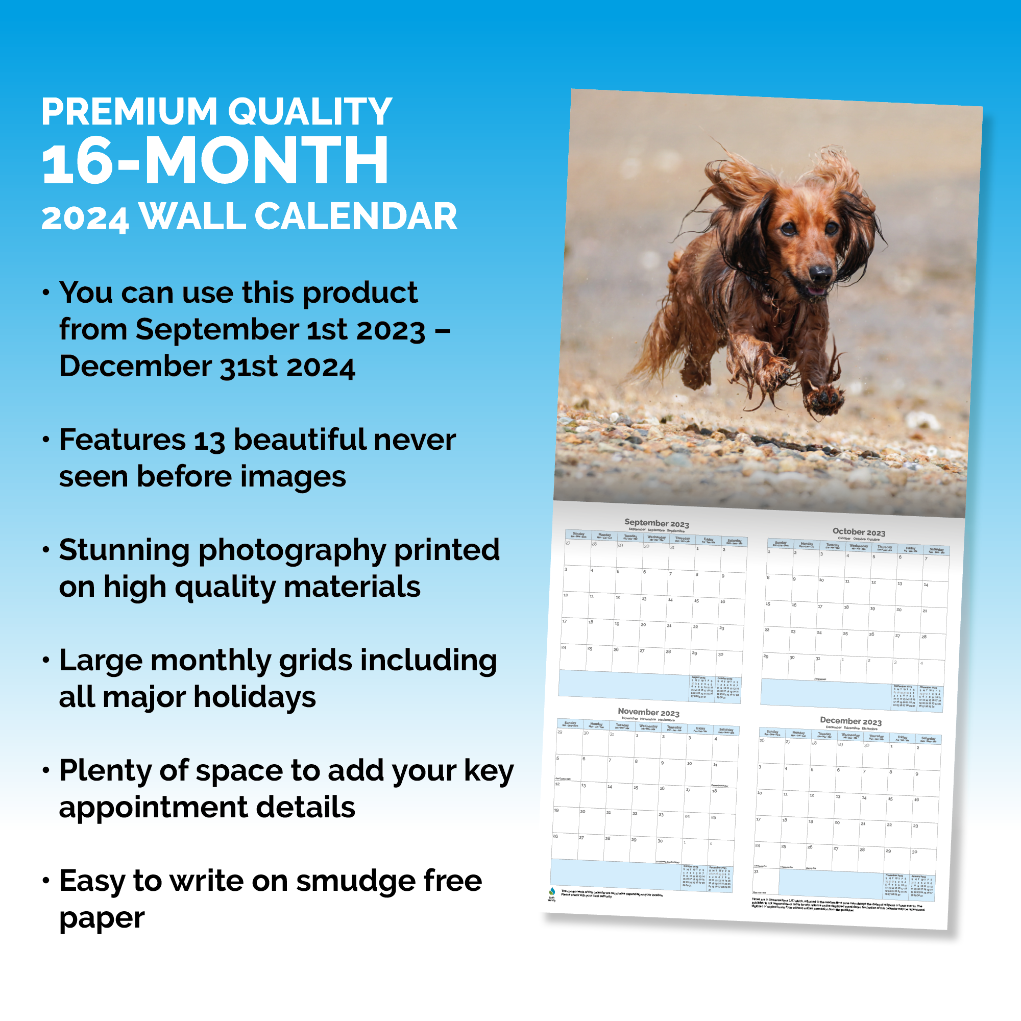 Dachshund Puppies Calendar 2024