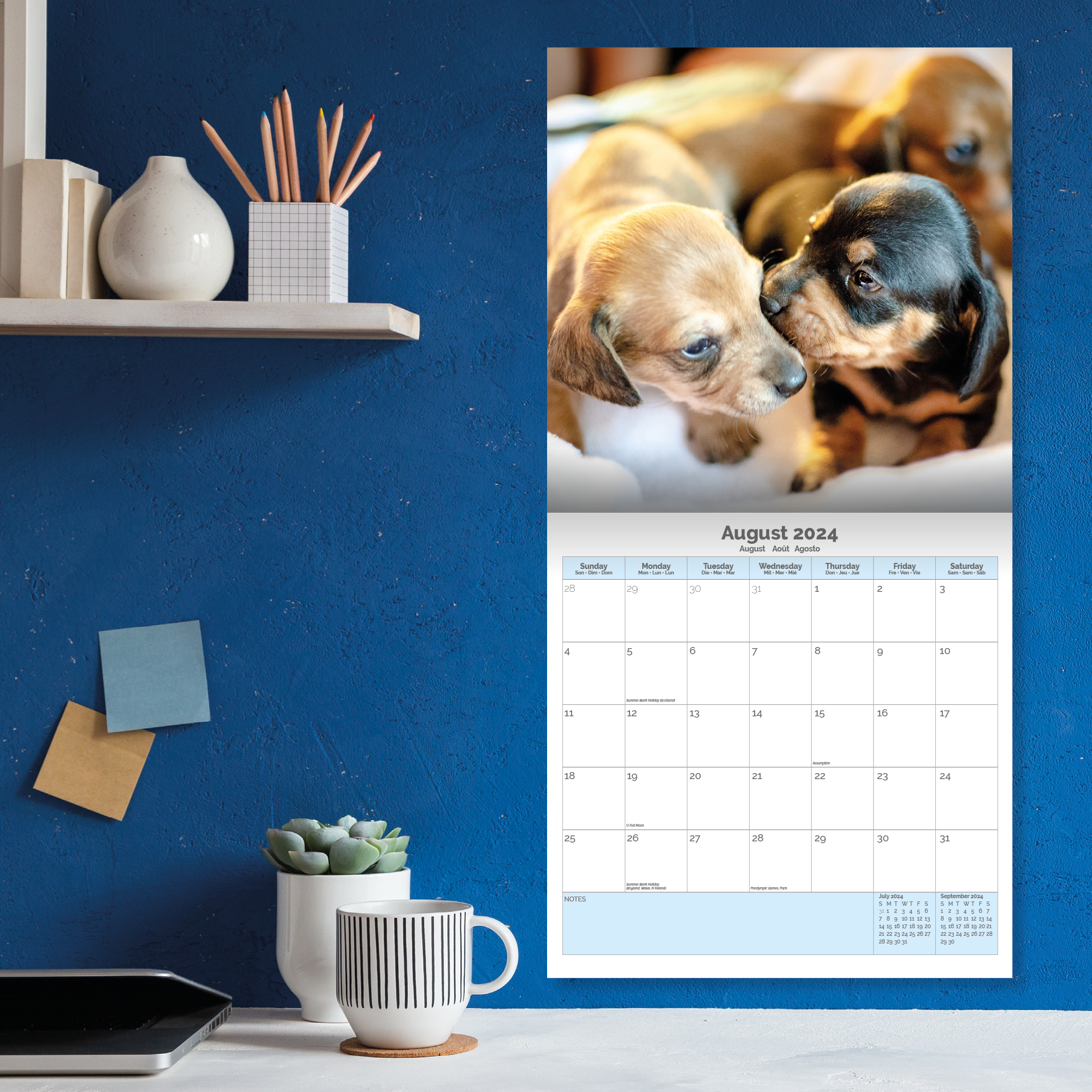 Dachshund Puppies Calendar 2024