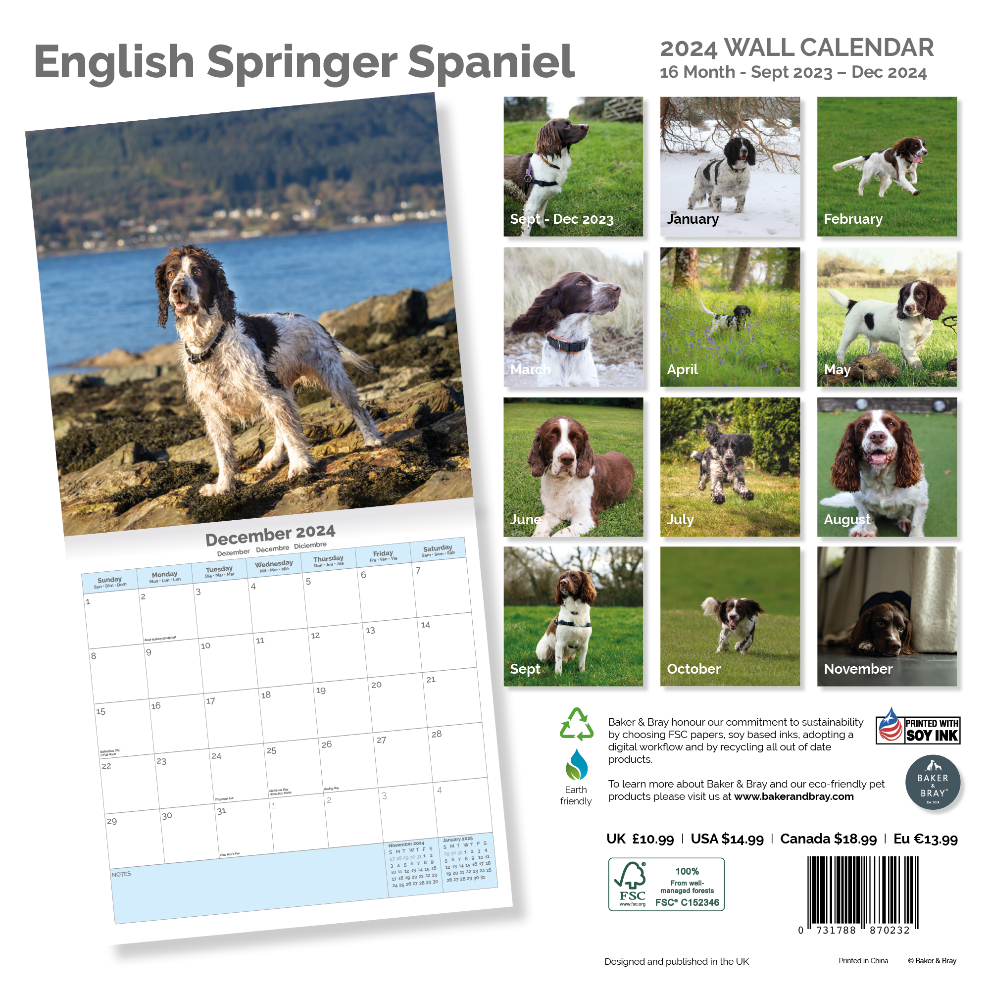 English Springer Spaniel Calendar 2024