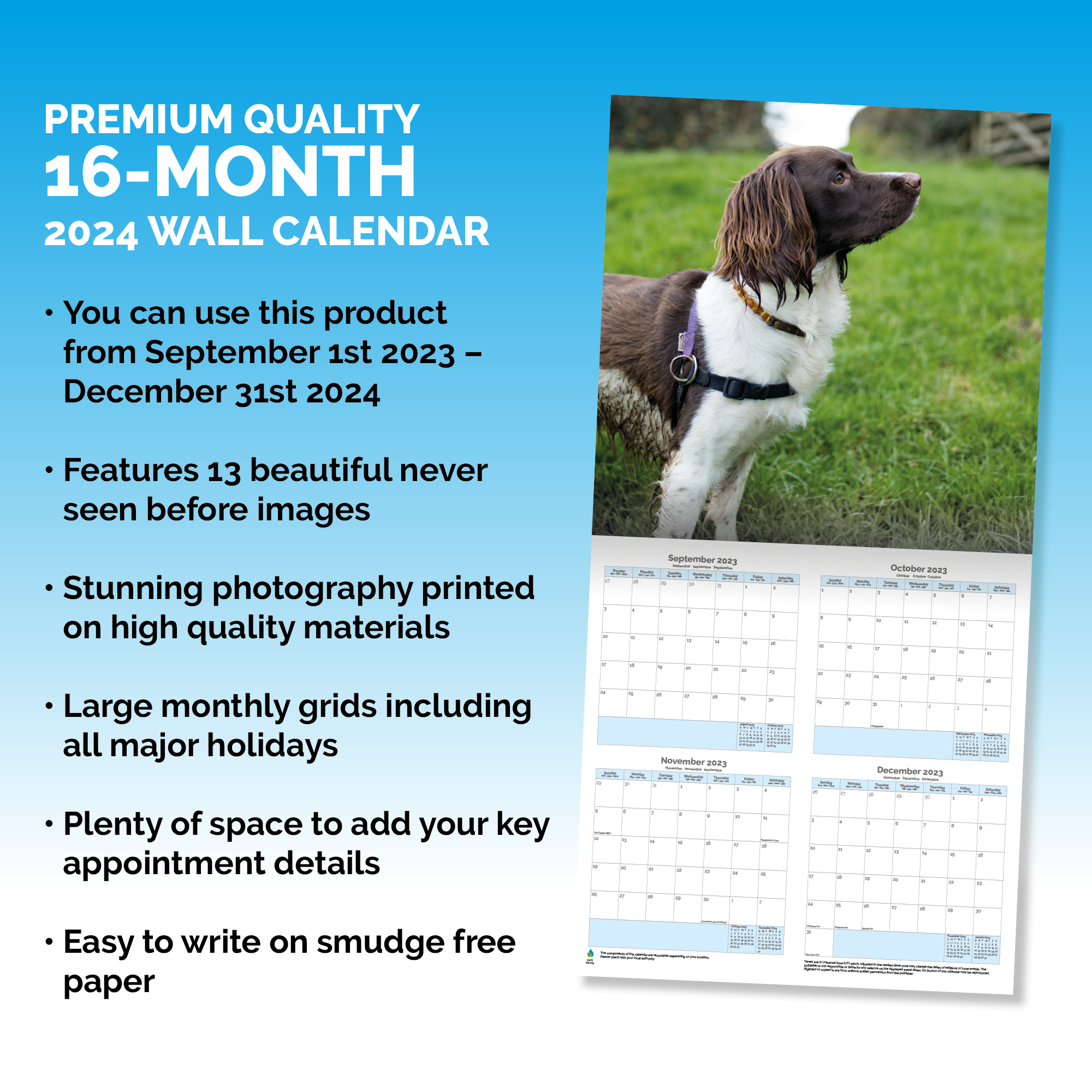 English Springer Spaniel Calendar 2024