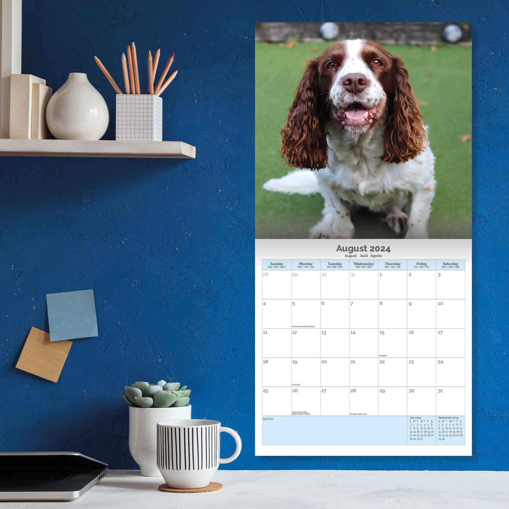 English Springer Spaniel Calendar 2024