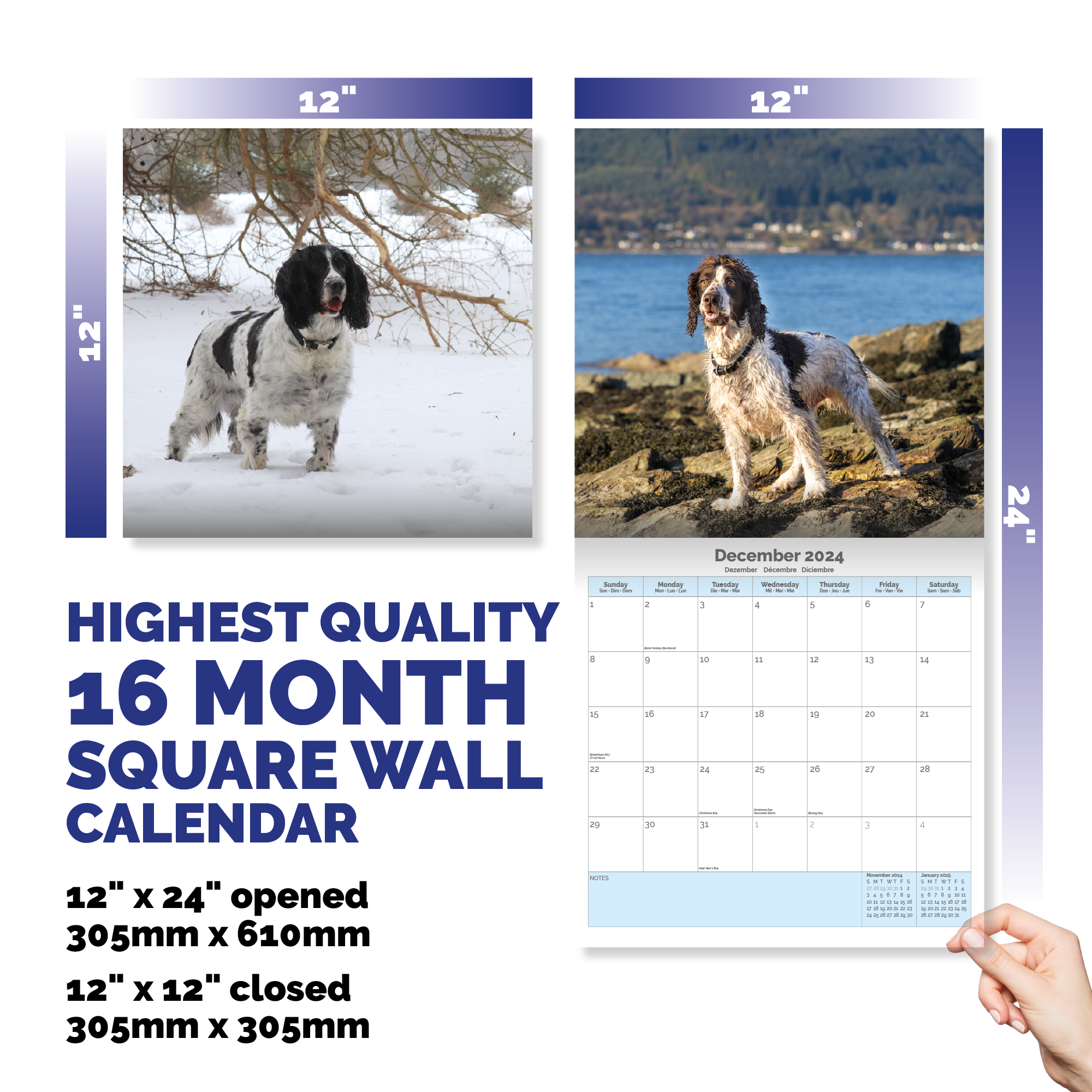 English Springer Spaniel Calendar 2024