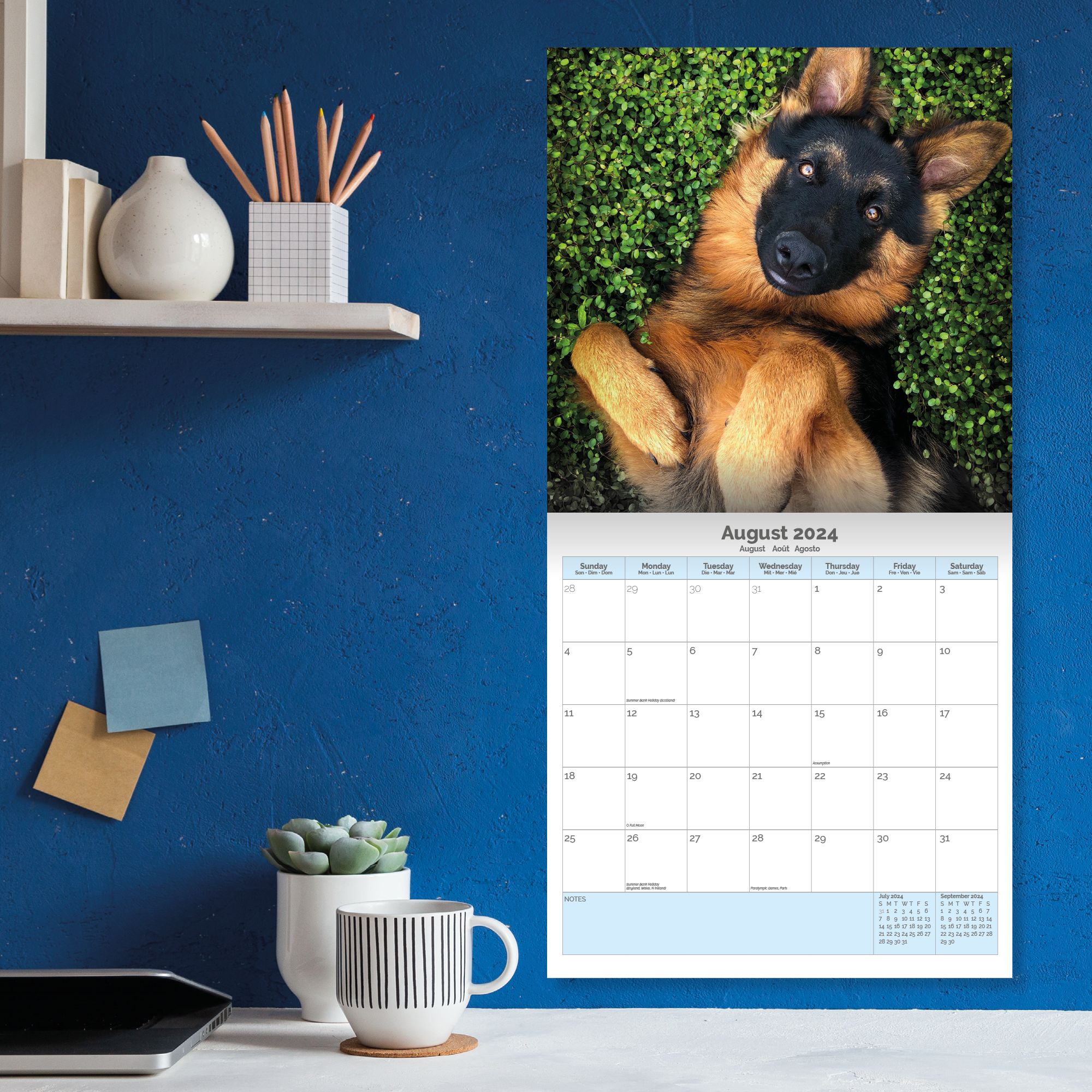 German Shepherd Calendar 2024