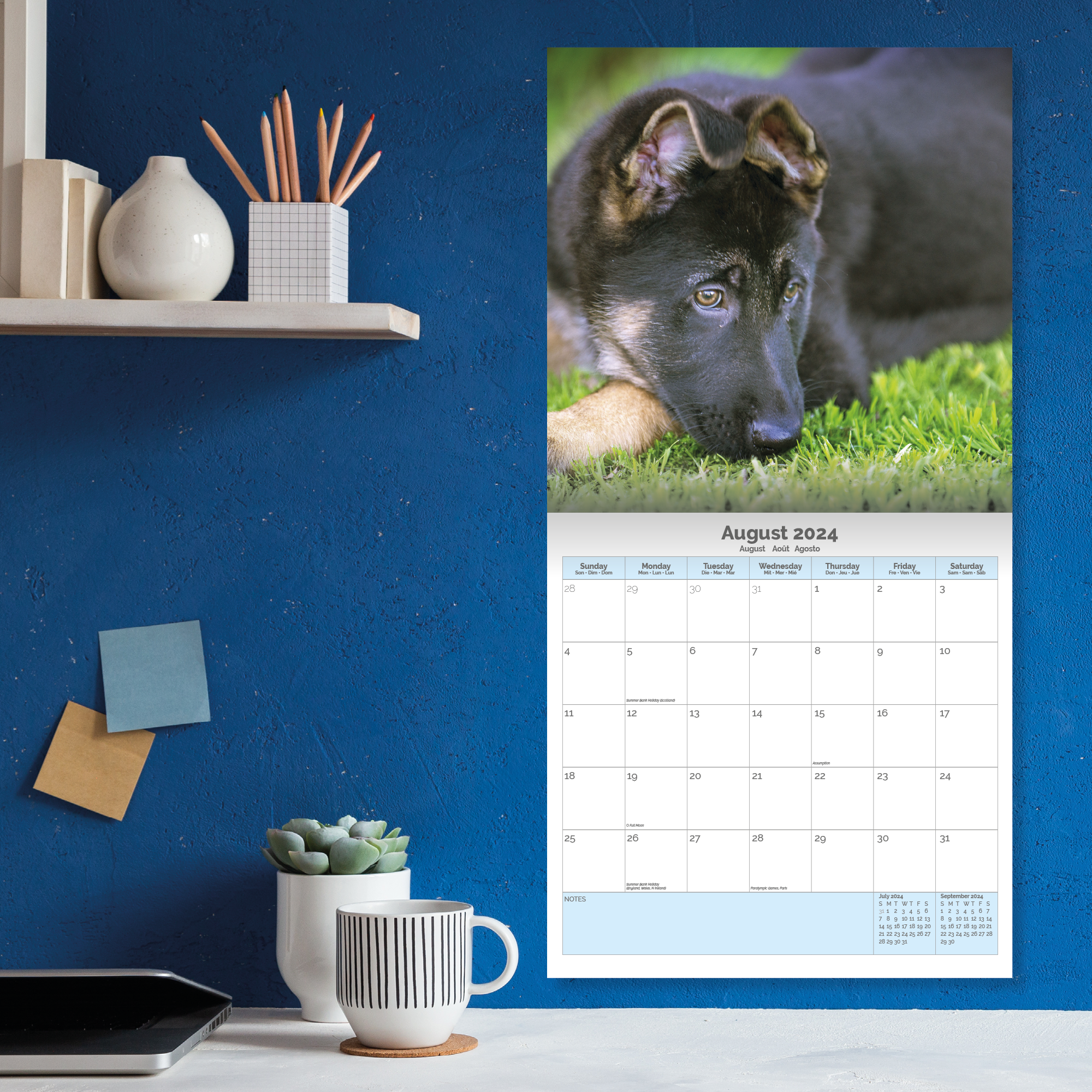 German Shepherd Puppies Calendar 2024