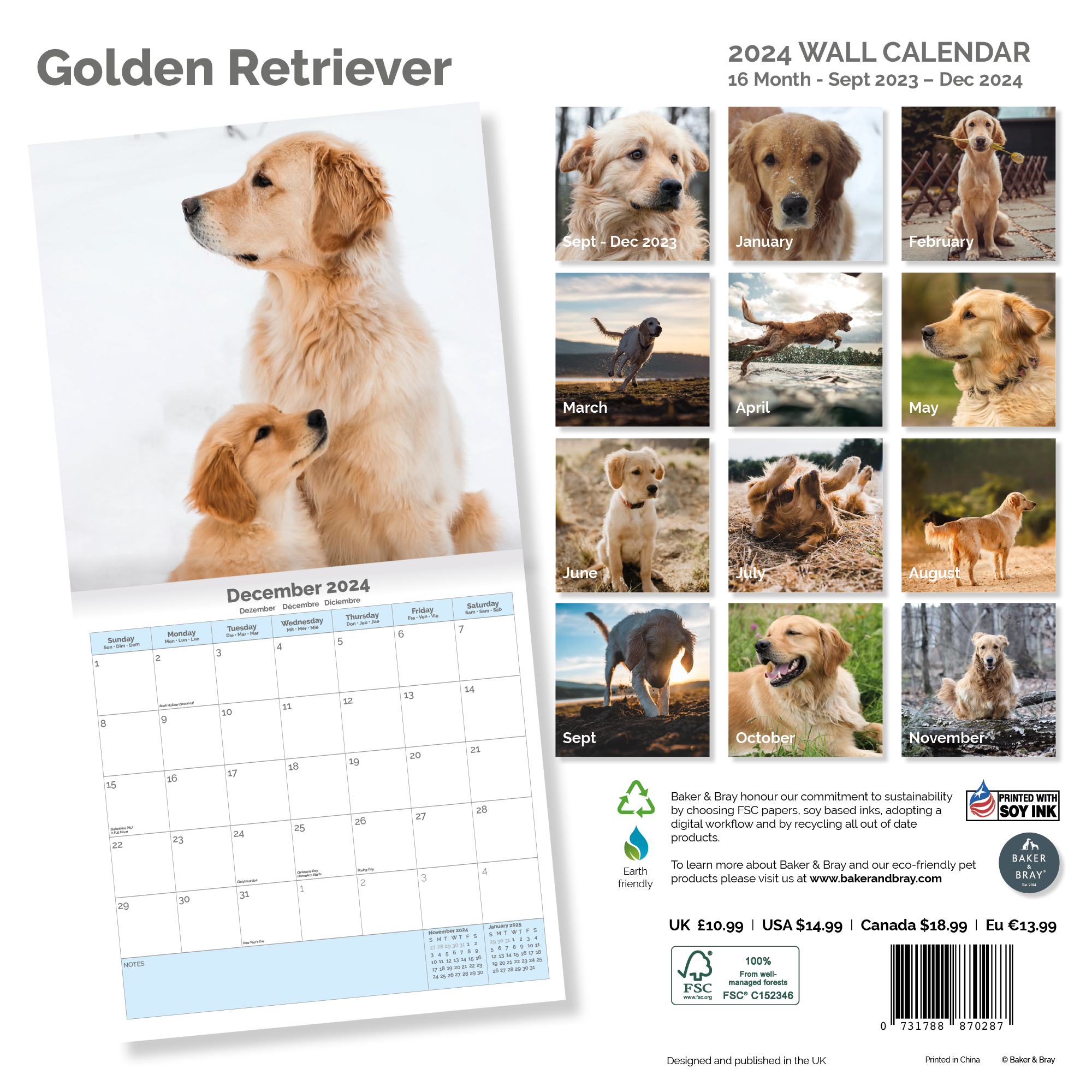 Golden Retriever Calendar 2024