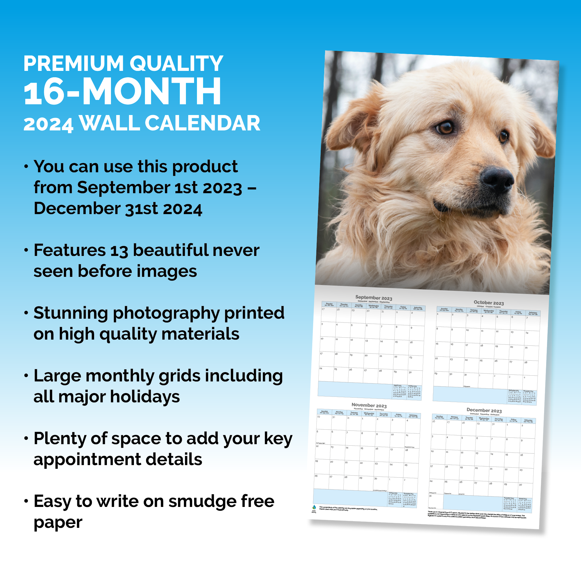 Golden Retriever Calendar 2024