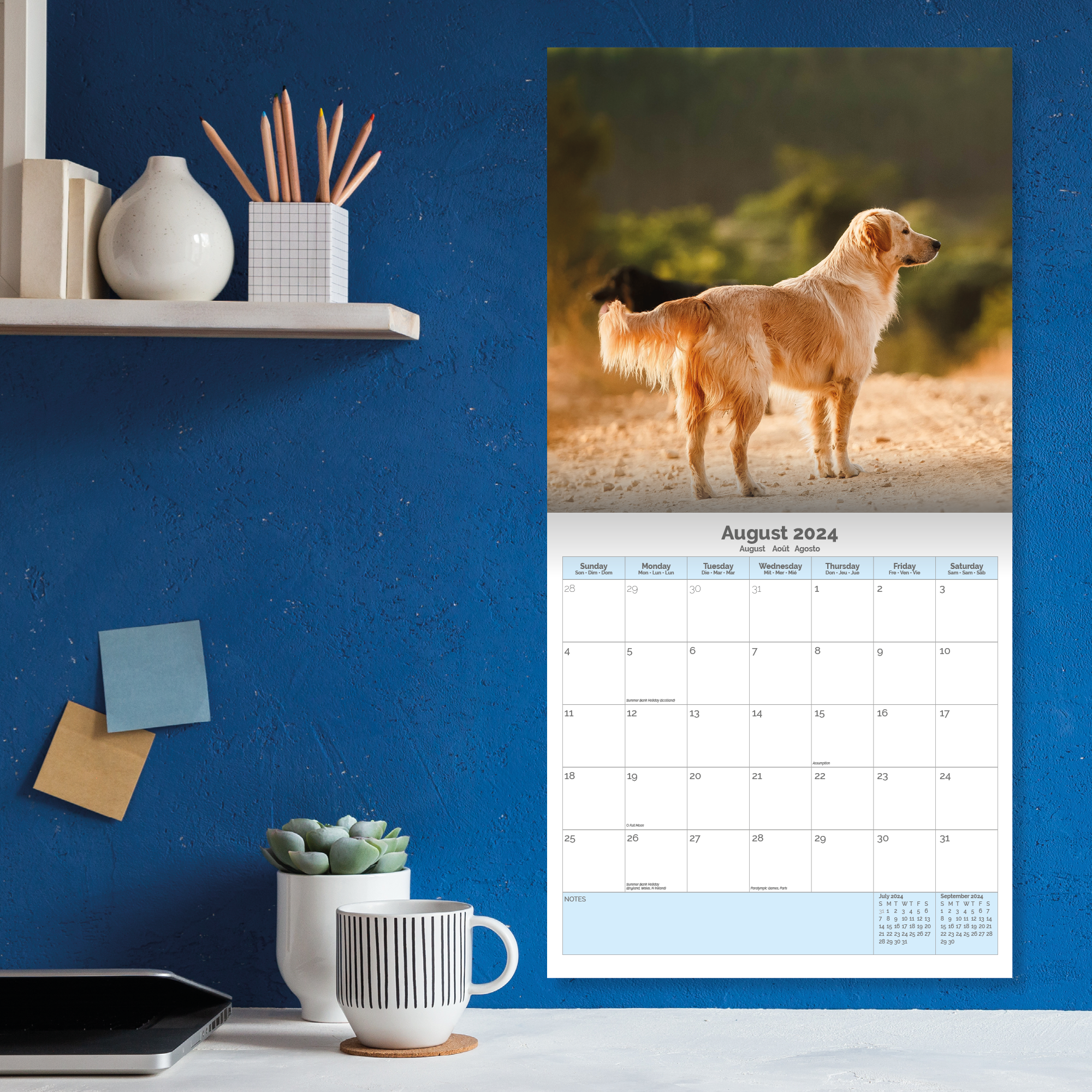Golden Retriever Calendar 2024