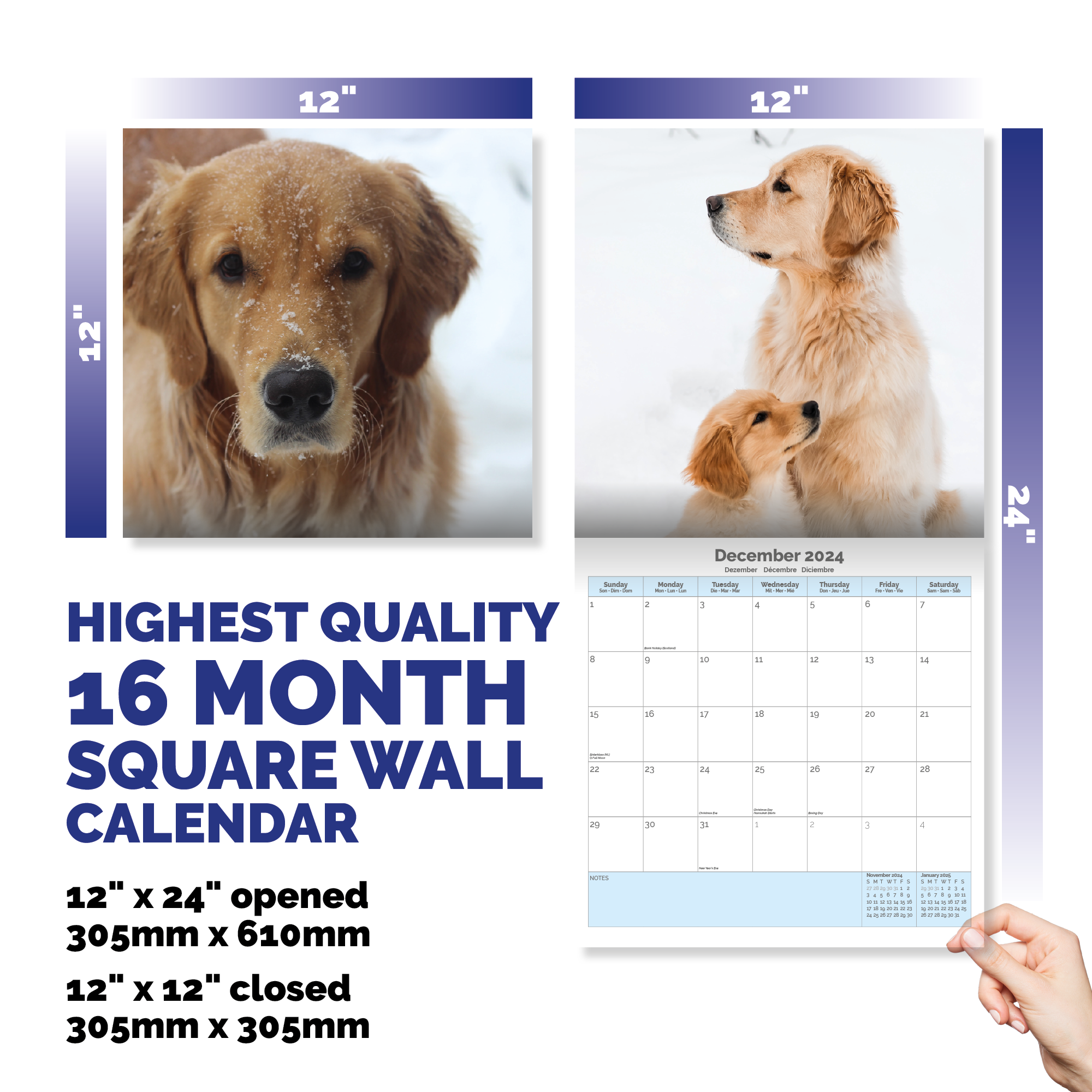Golden Retriever Calendar 2024