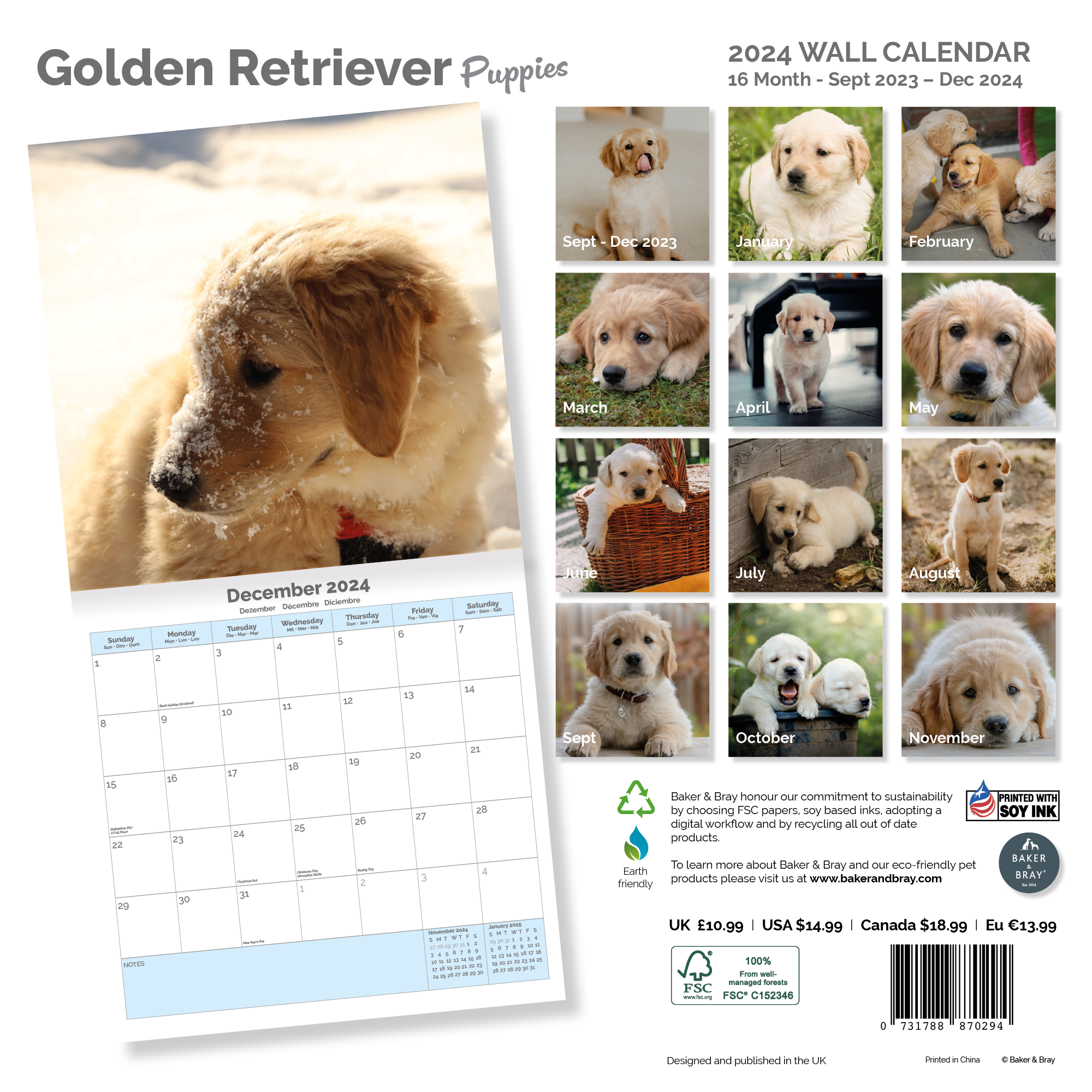 Golden Retriever Puppies Calendar 2024