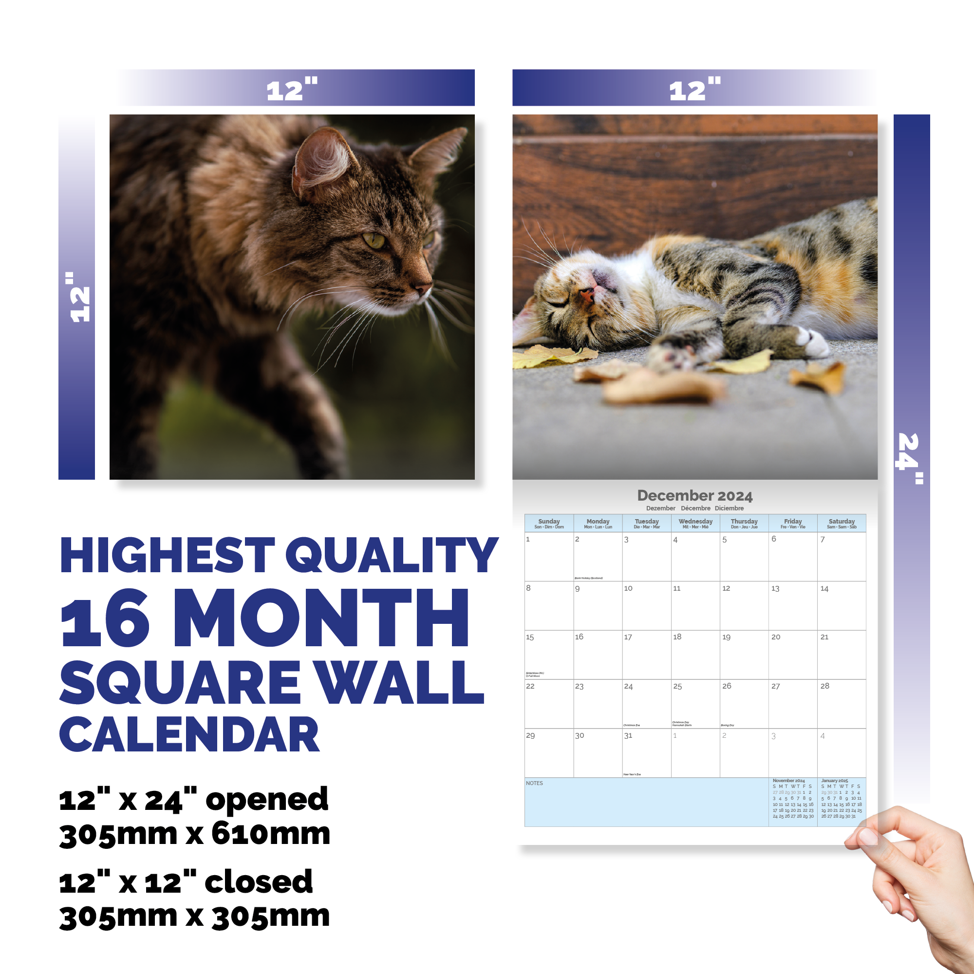 I Love Cats Calendar 2024
