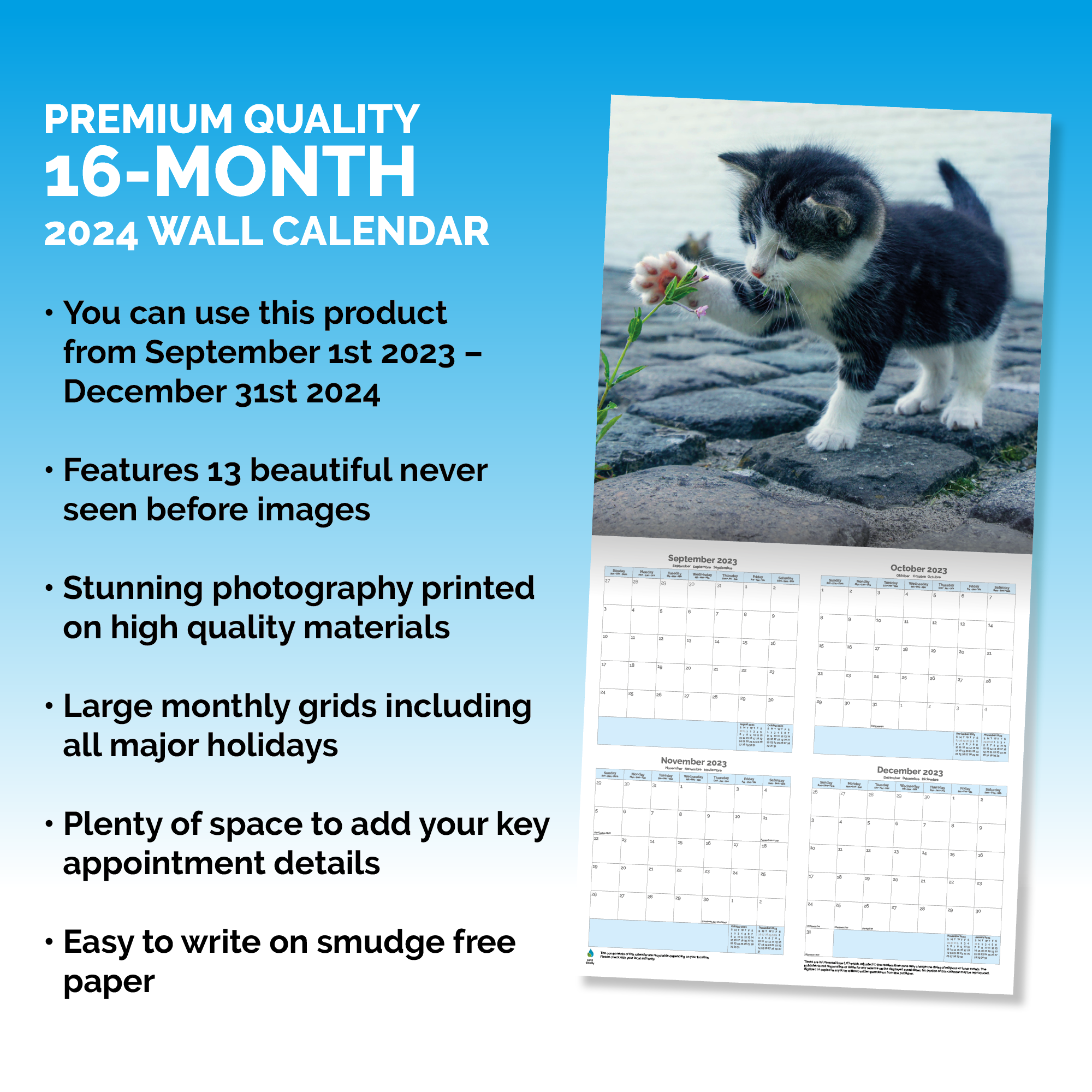 I Love Kittens Calendar 2024