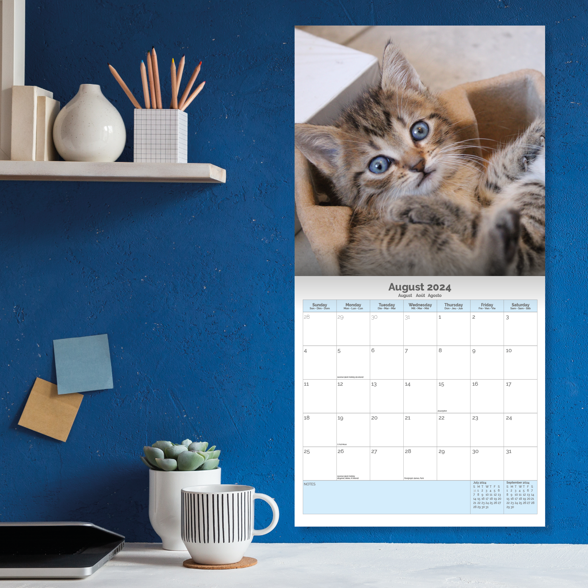 I Love Kittens Calendar 2024