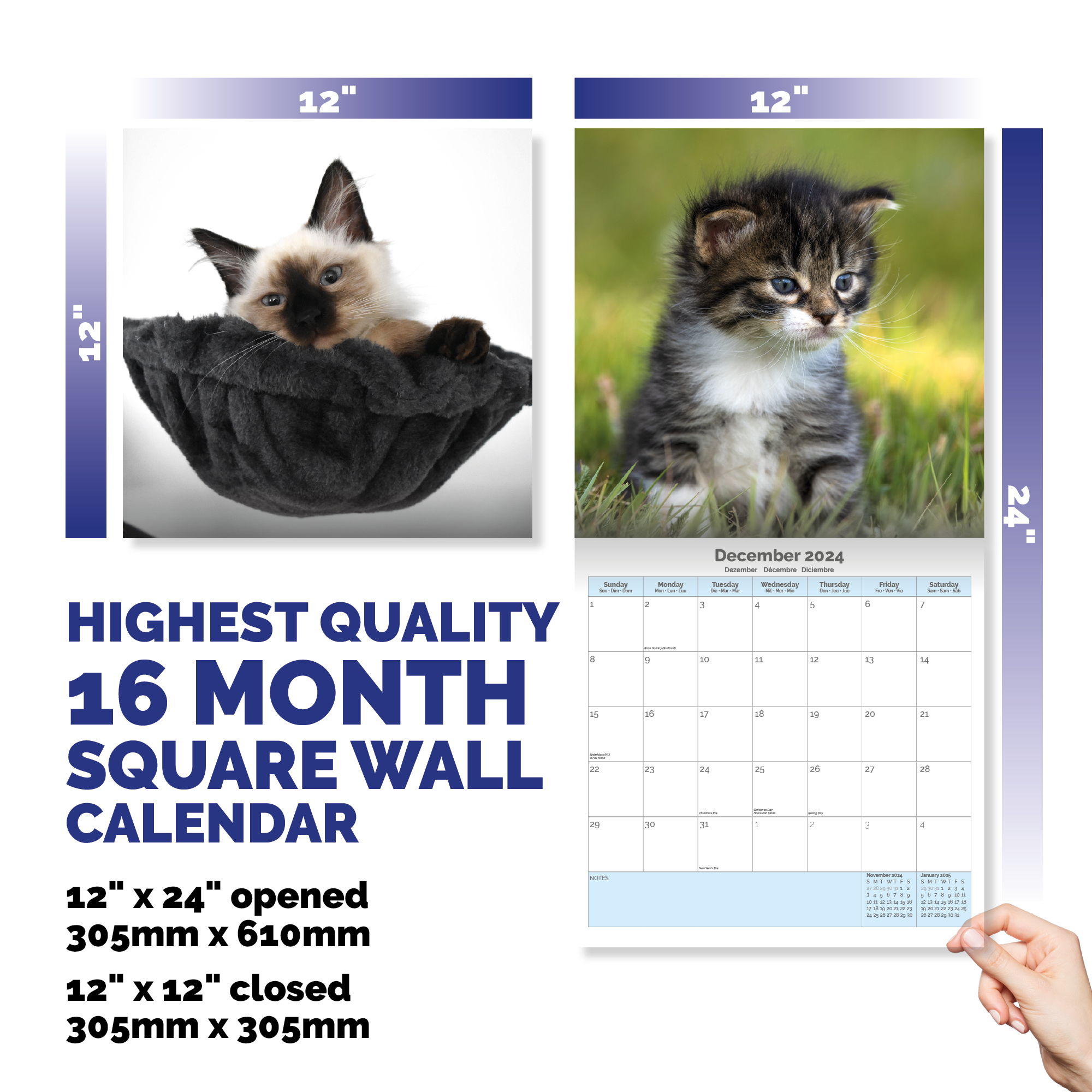 I Love Kittens Calendar 2024