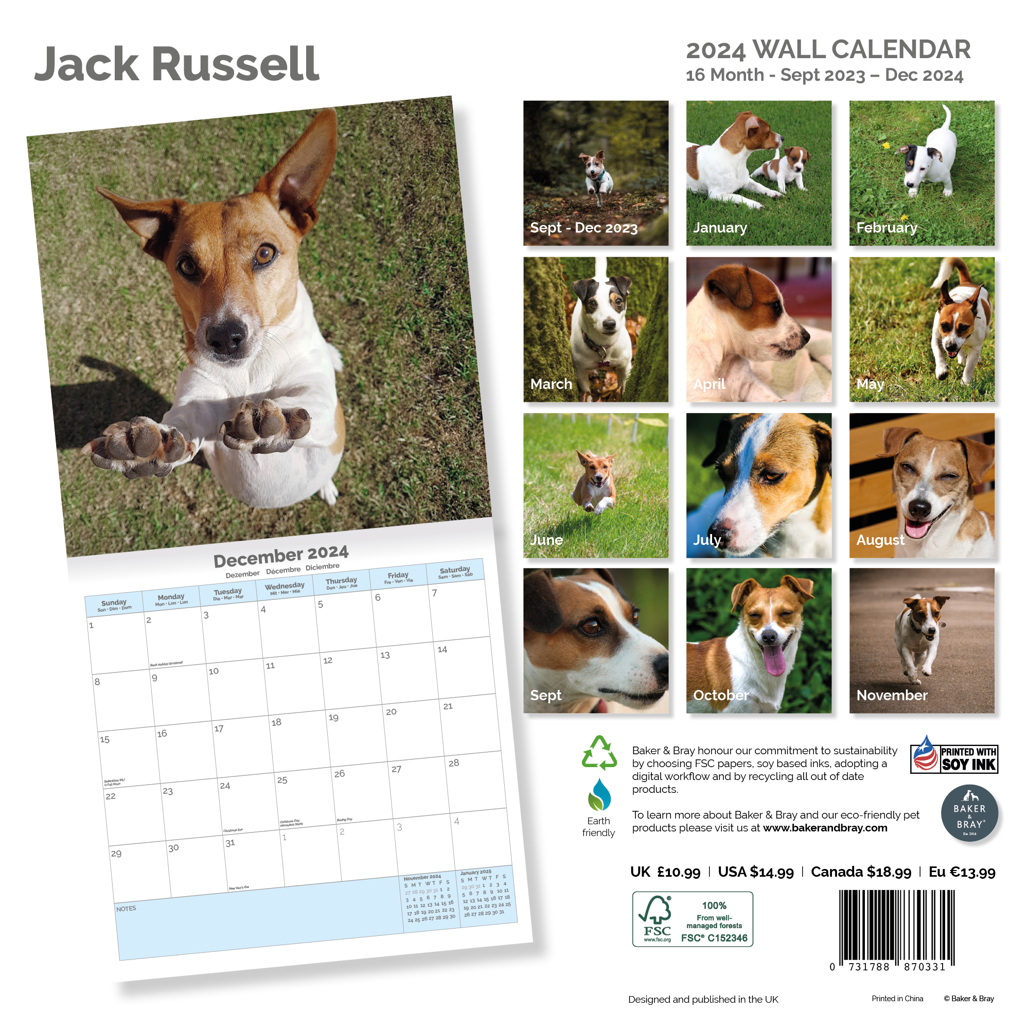 Jack Russell Terrier  Calendar 2024