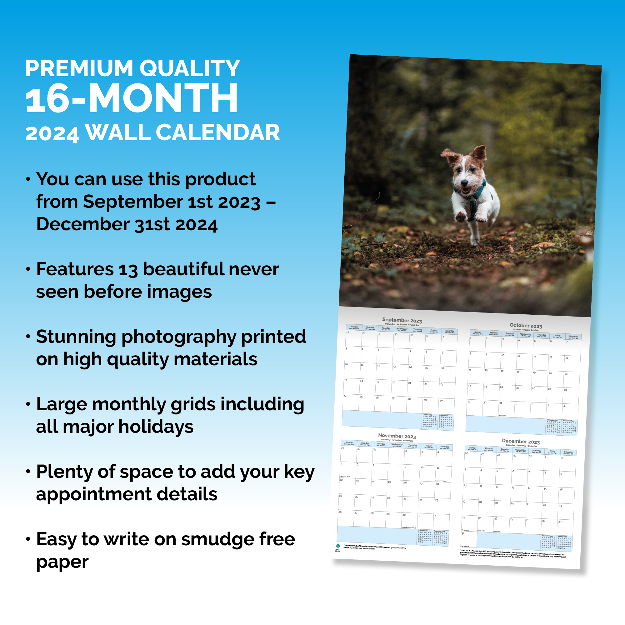 Jack Russell Terrier  Calendar 2024