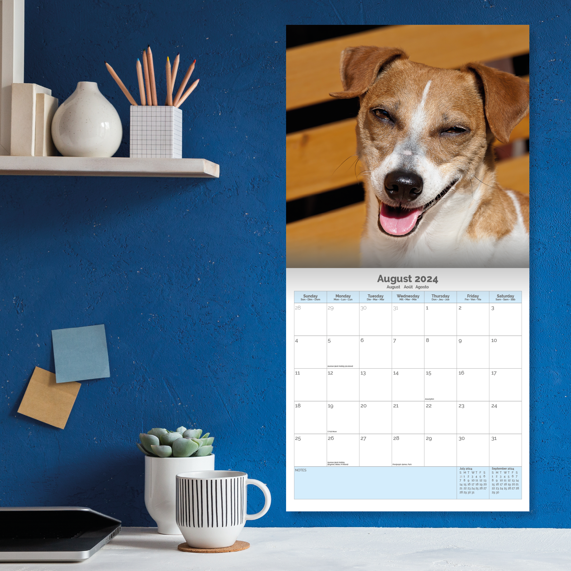 Jack Russell Terrier  Calendar 2024