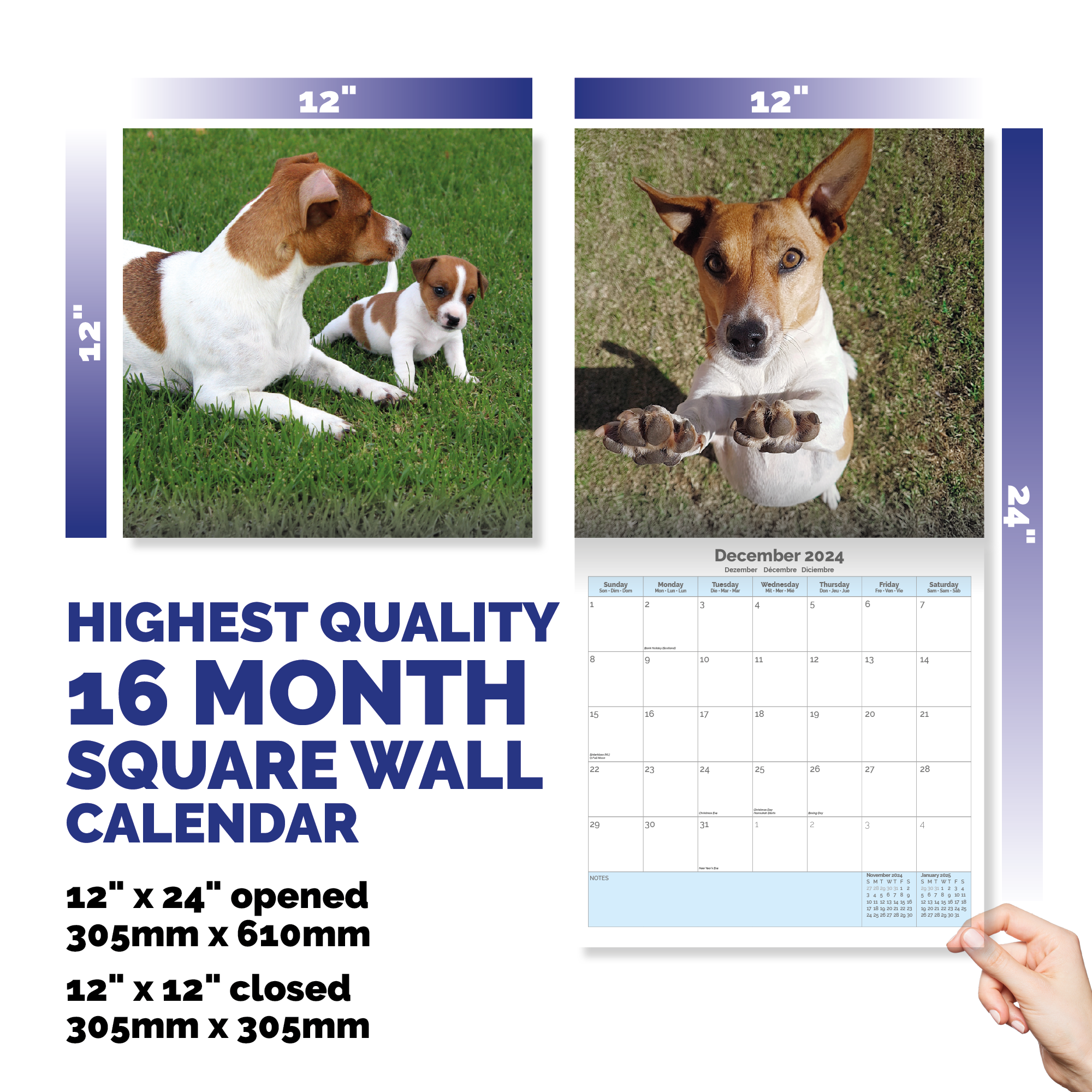 Jack Russell Terrier  Calendar 2024