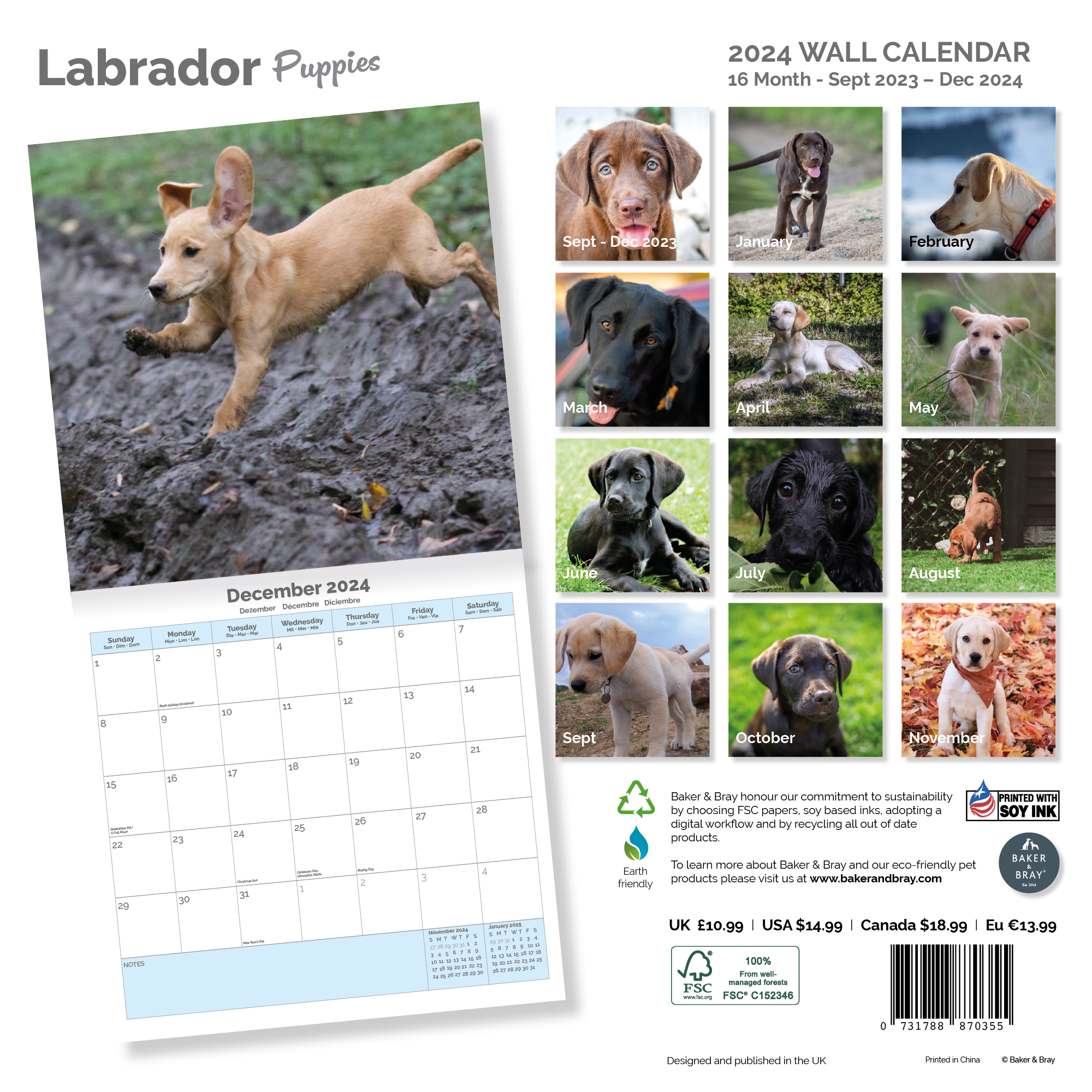 Labrador Puppies Calendar 2024