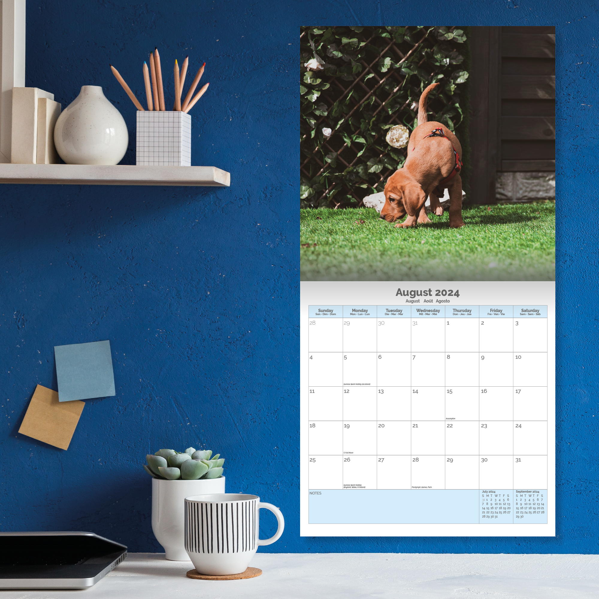 Labrador Puppies Calendar 2024