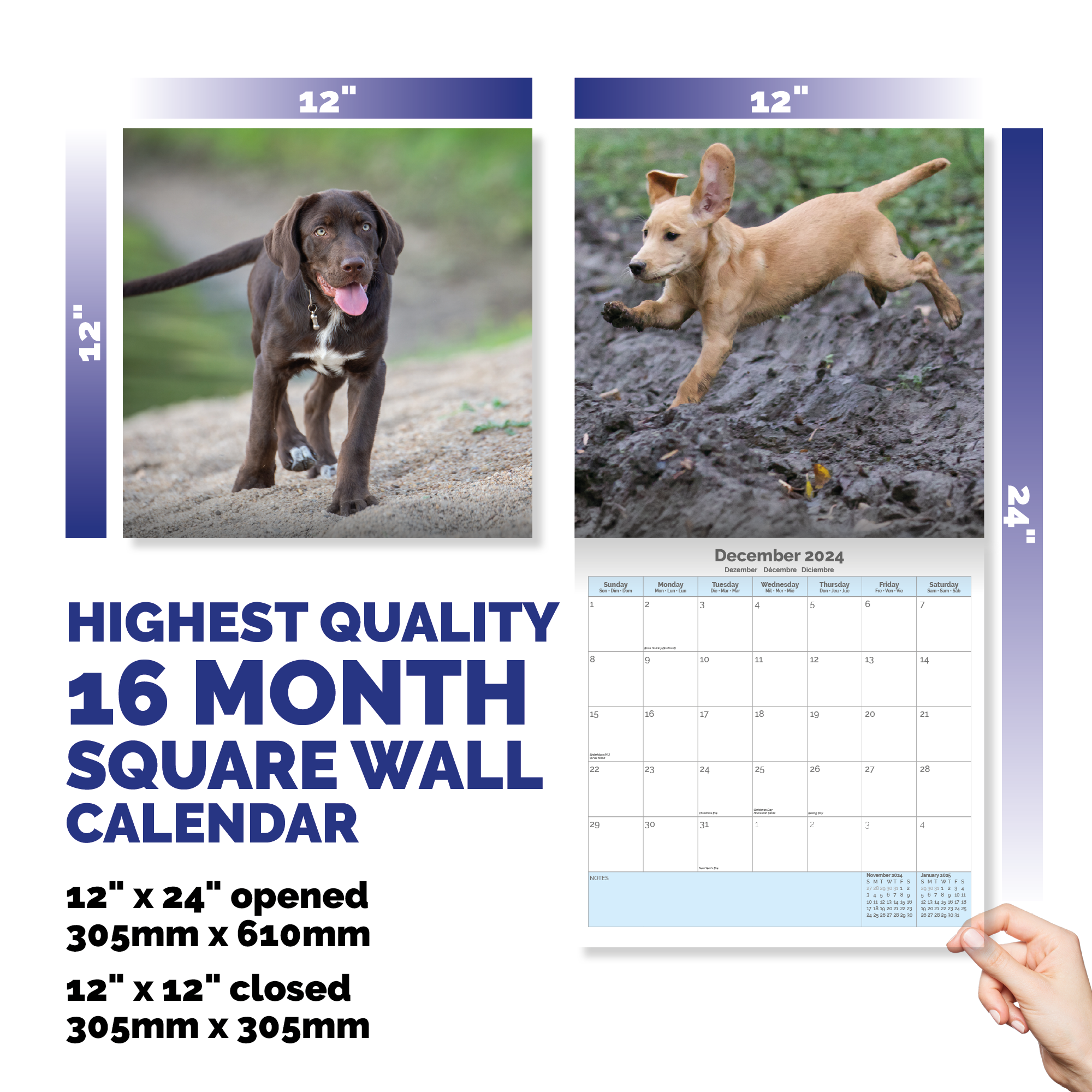 Labrador Puppies Calendar 2024