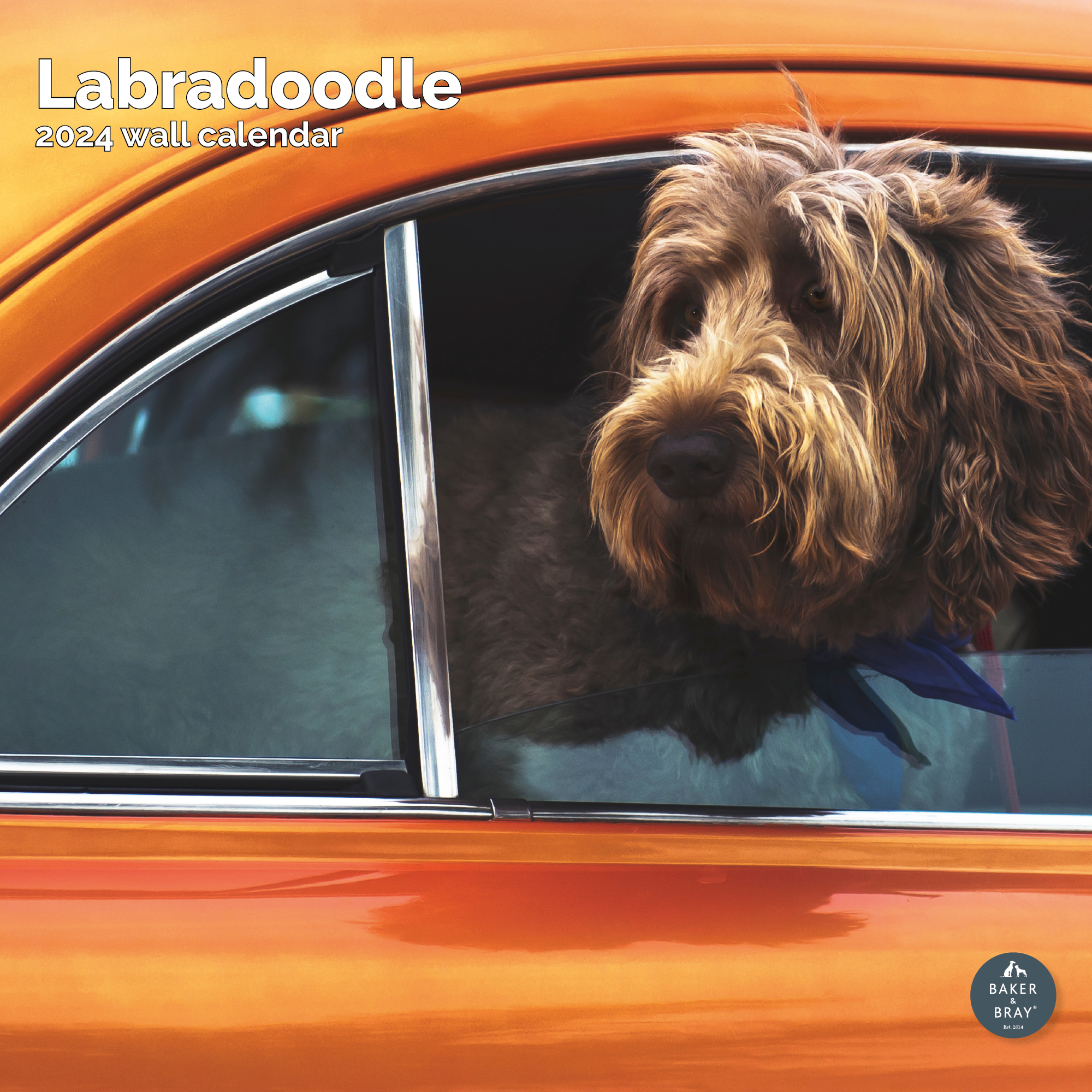 Labradoodle Calendar 2024
