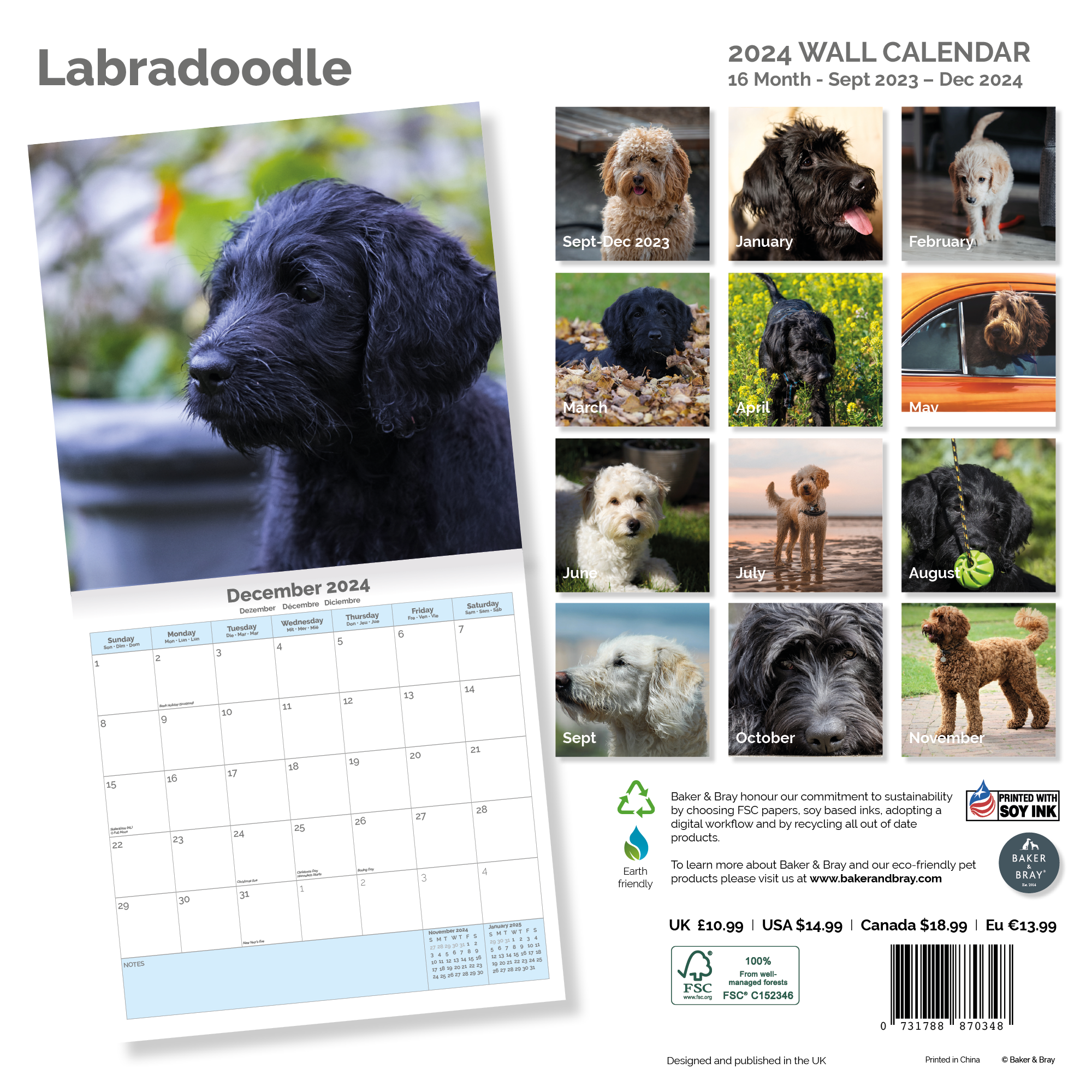 Labradoodle Calendar 2024