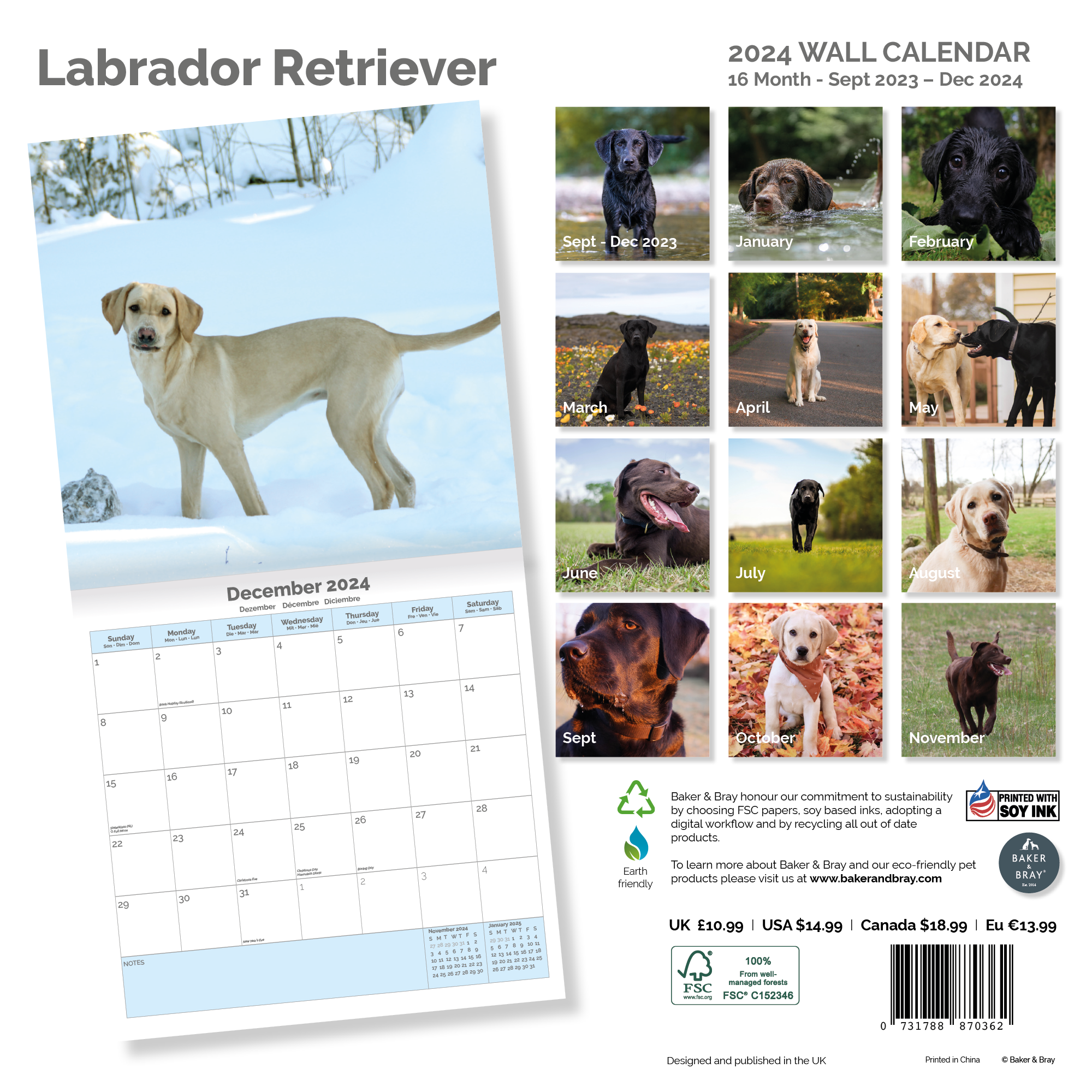 Labrador Retriever Calendar 2024