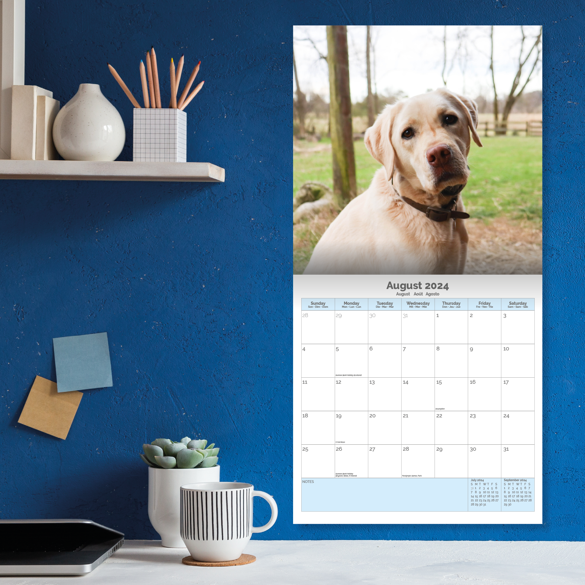 Labrador Retriever Calendar 2024
