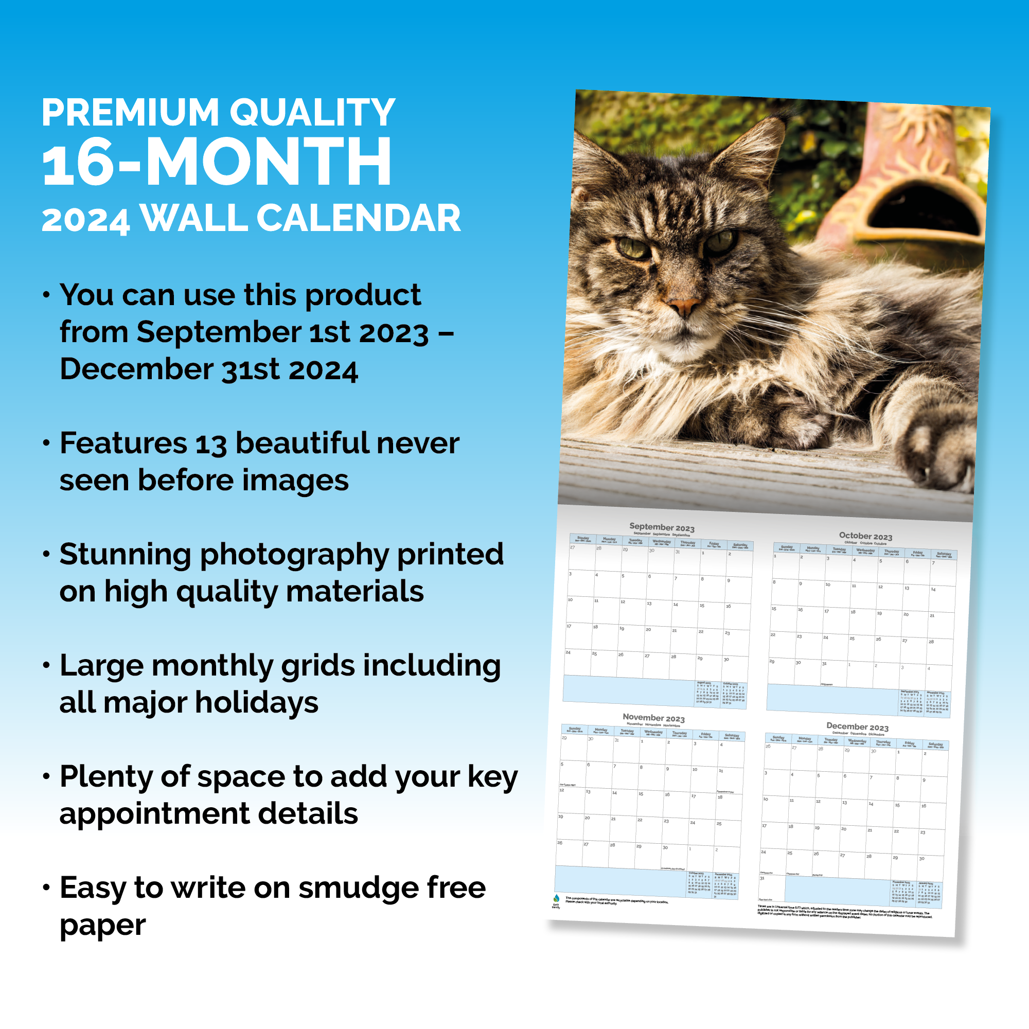 Maine Coon Cat Calendar 2024
