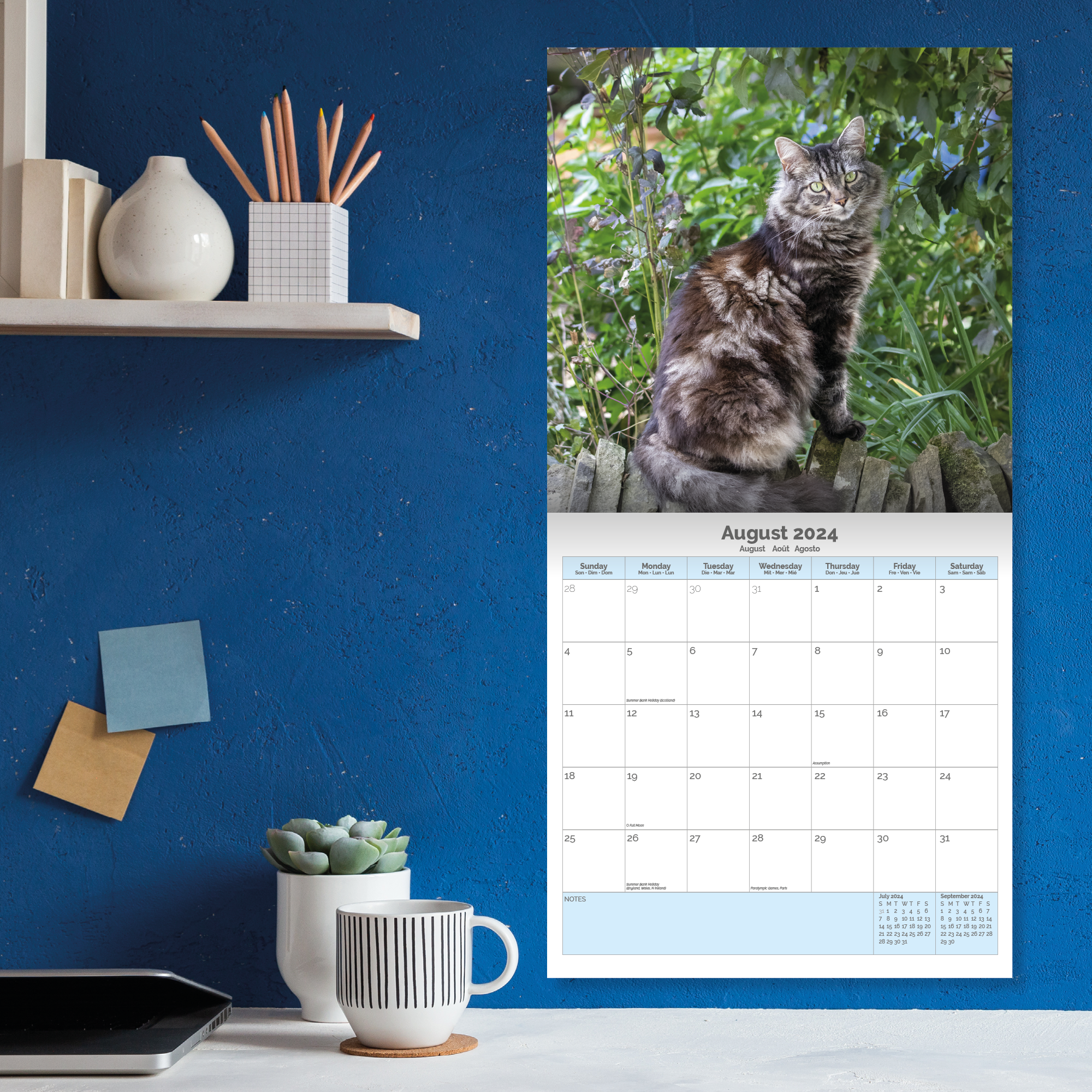 Maine Coon Cat Calendar 2024