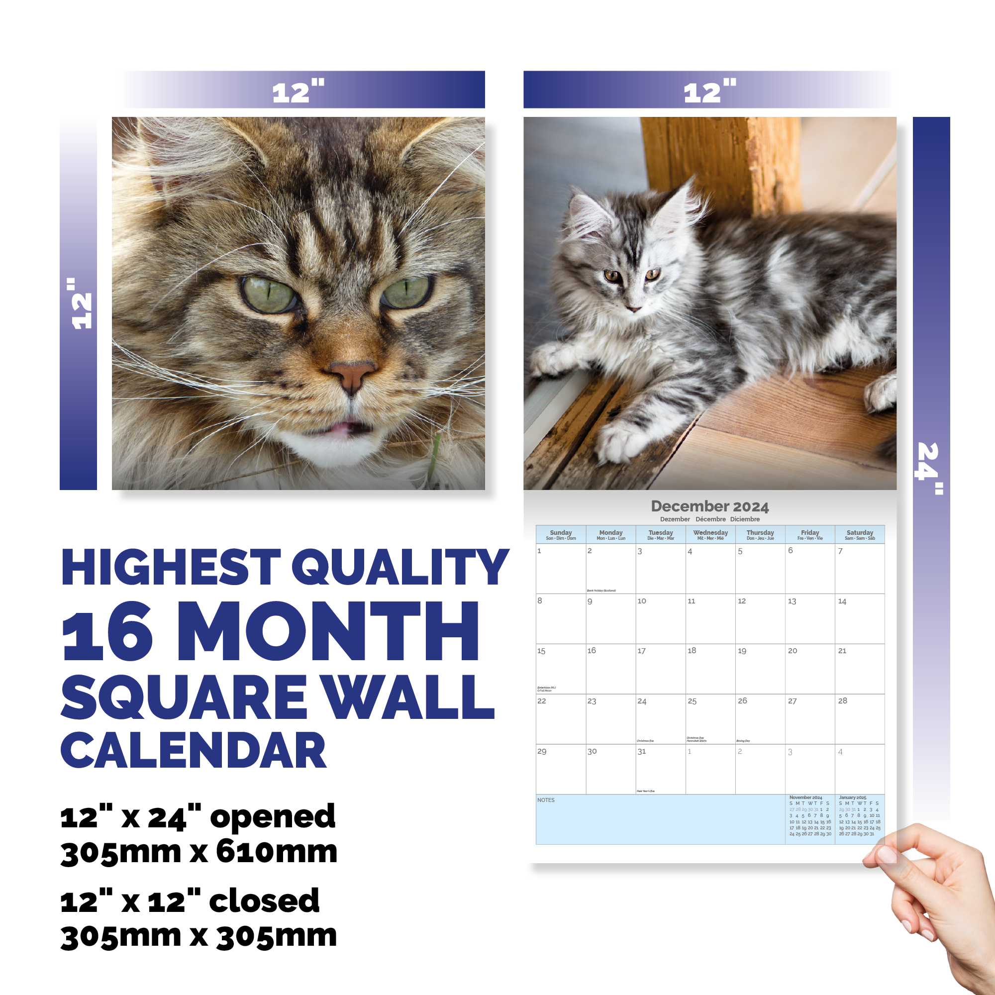 Maine Coon Cat Calendar 2024
