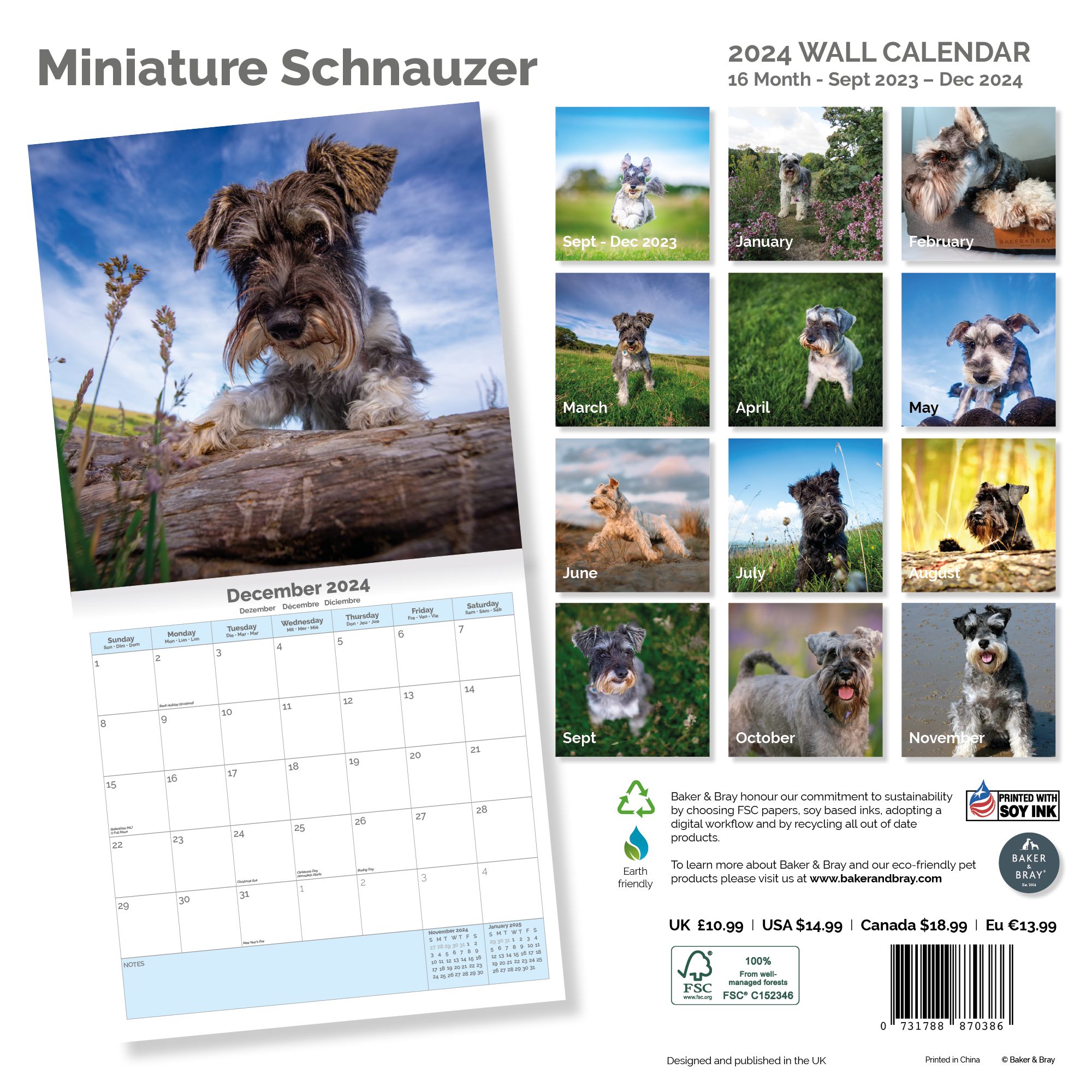 Miniature schnauzer Calendar 2024