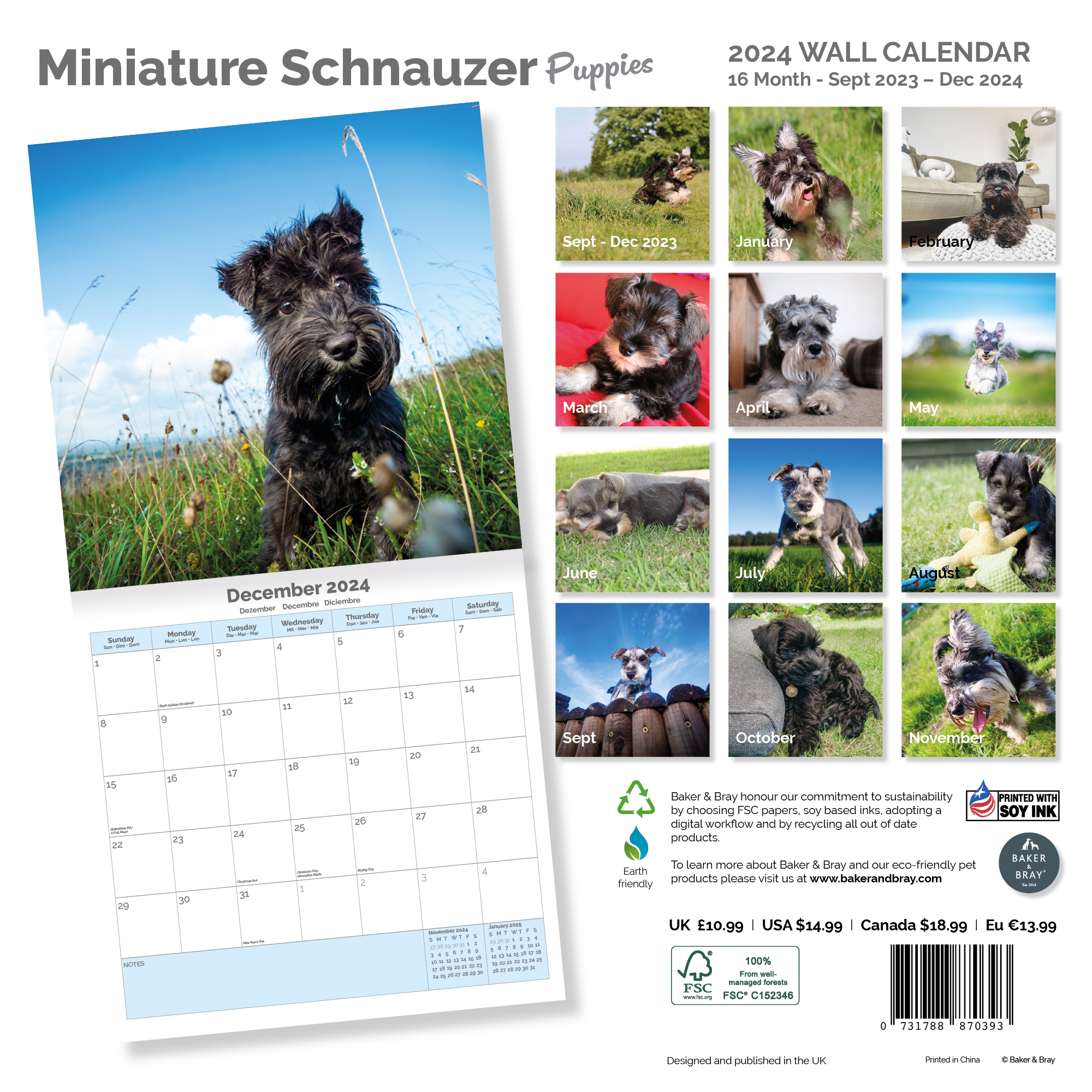 Miniature Schnauzer Puppies Calendar 2024