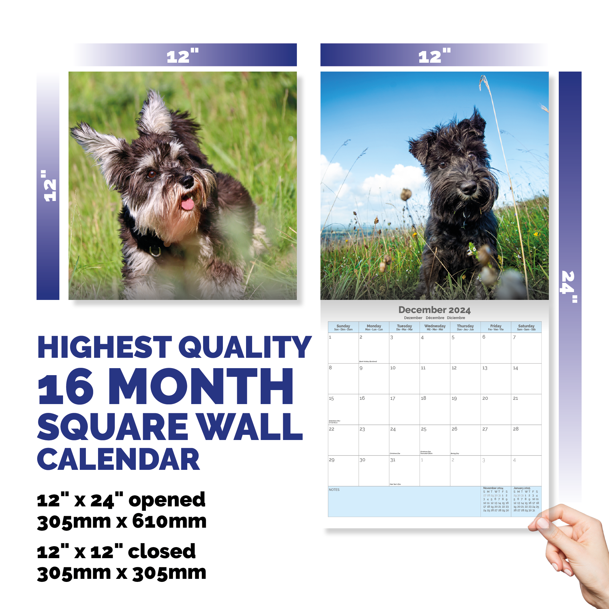 Miniature Schnauzer Puppies Calendar 2024