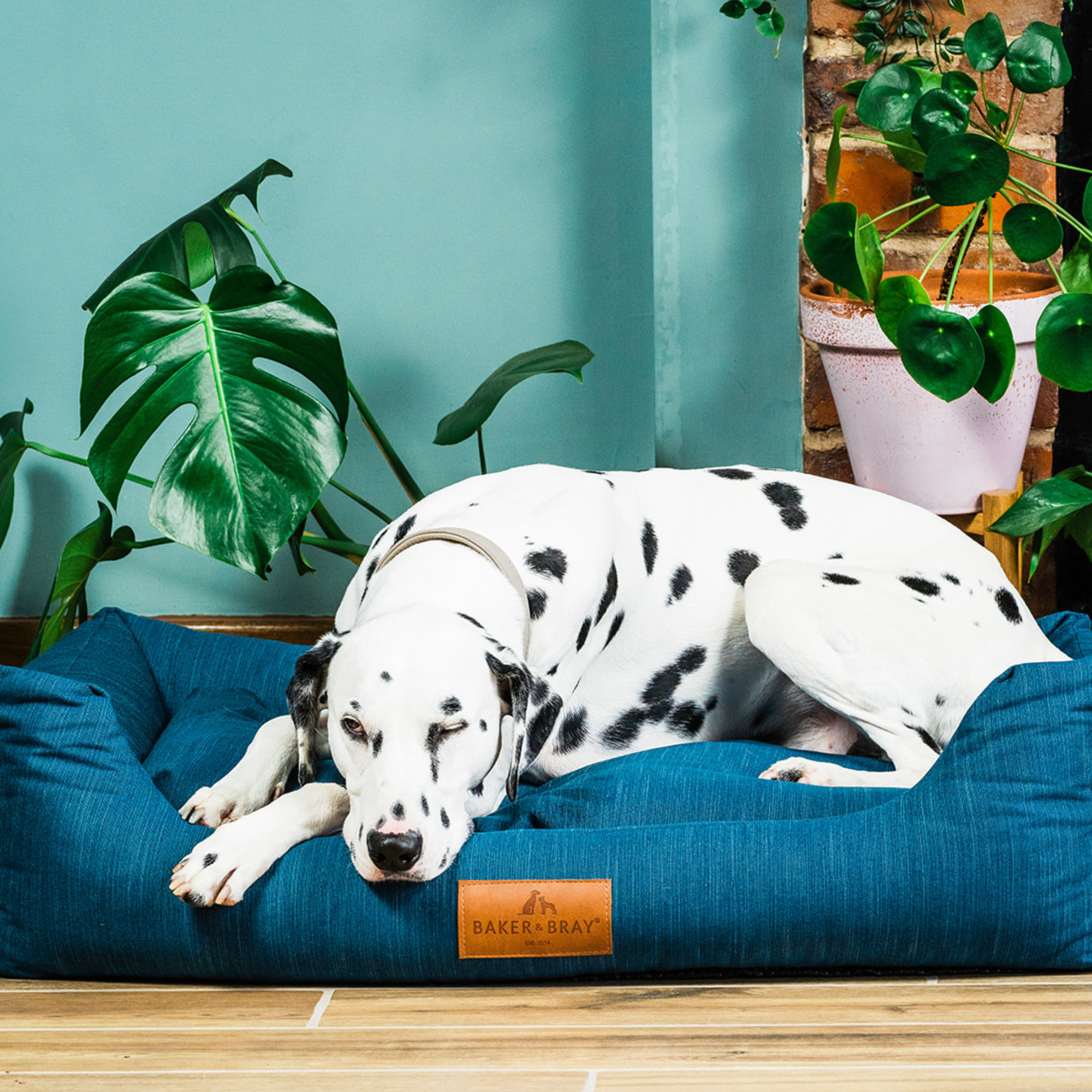 Eco Luxe Orthopaedic Luxury Dog Bed, Teal Blue-Green