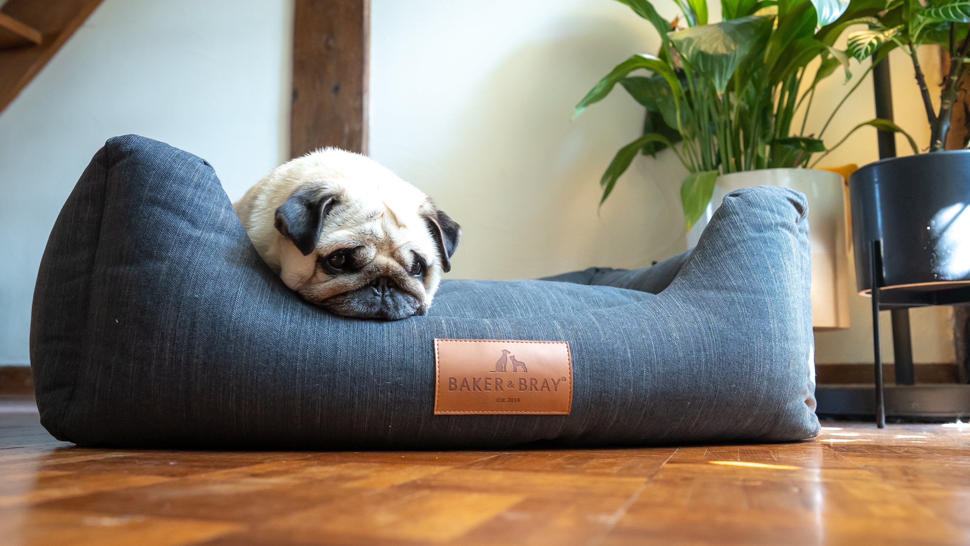 Louis Vuitton dog bed #LovesIt!!!