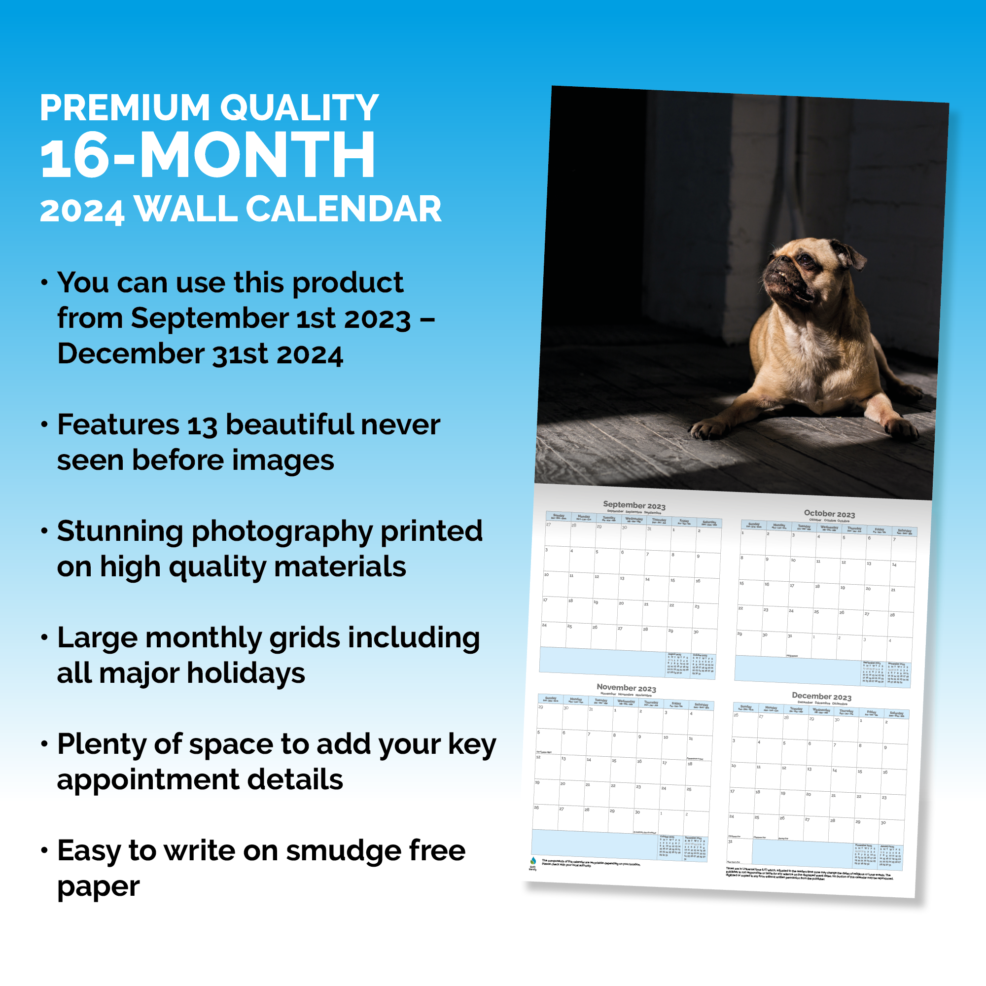 Pug Calendar 2024
