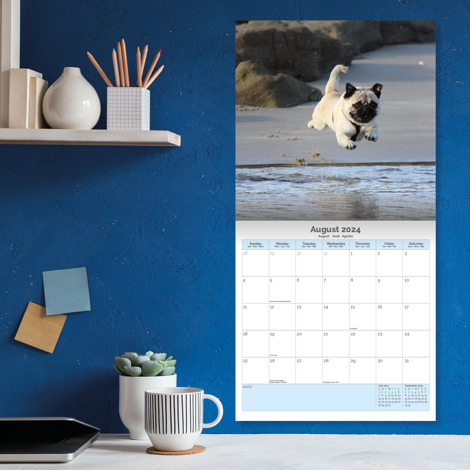 Pug Calendar 2024