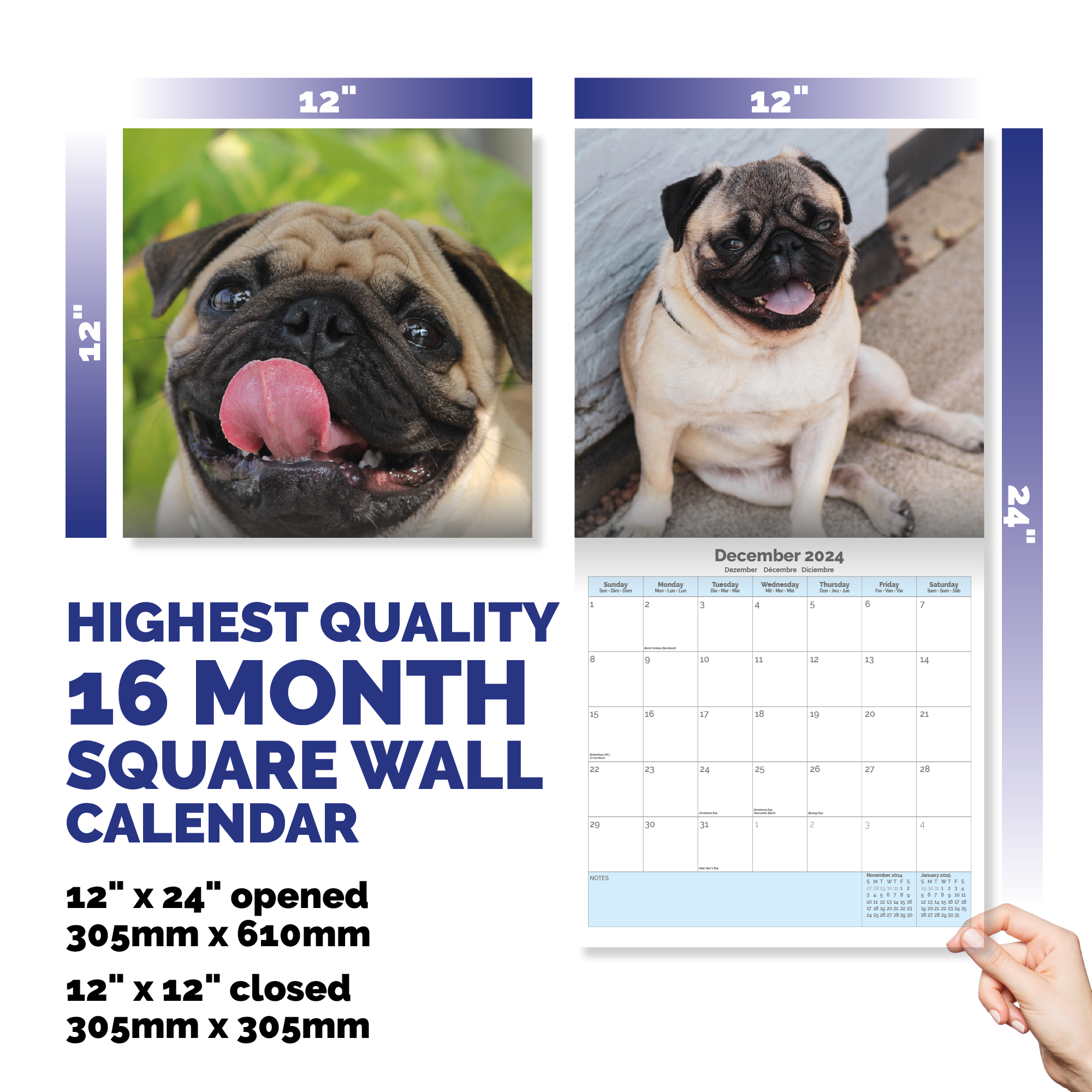 Pug Calendar 2024